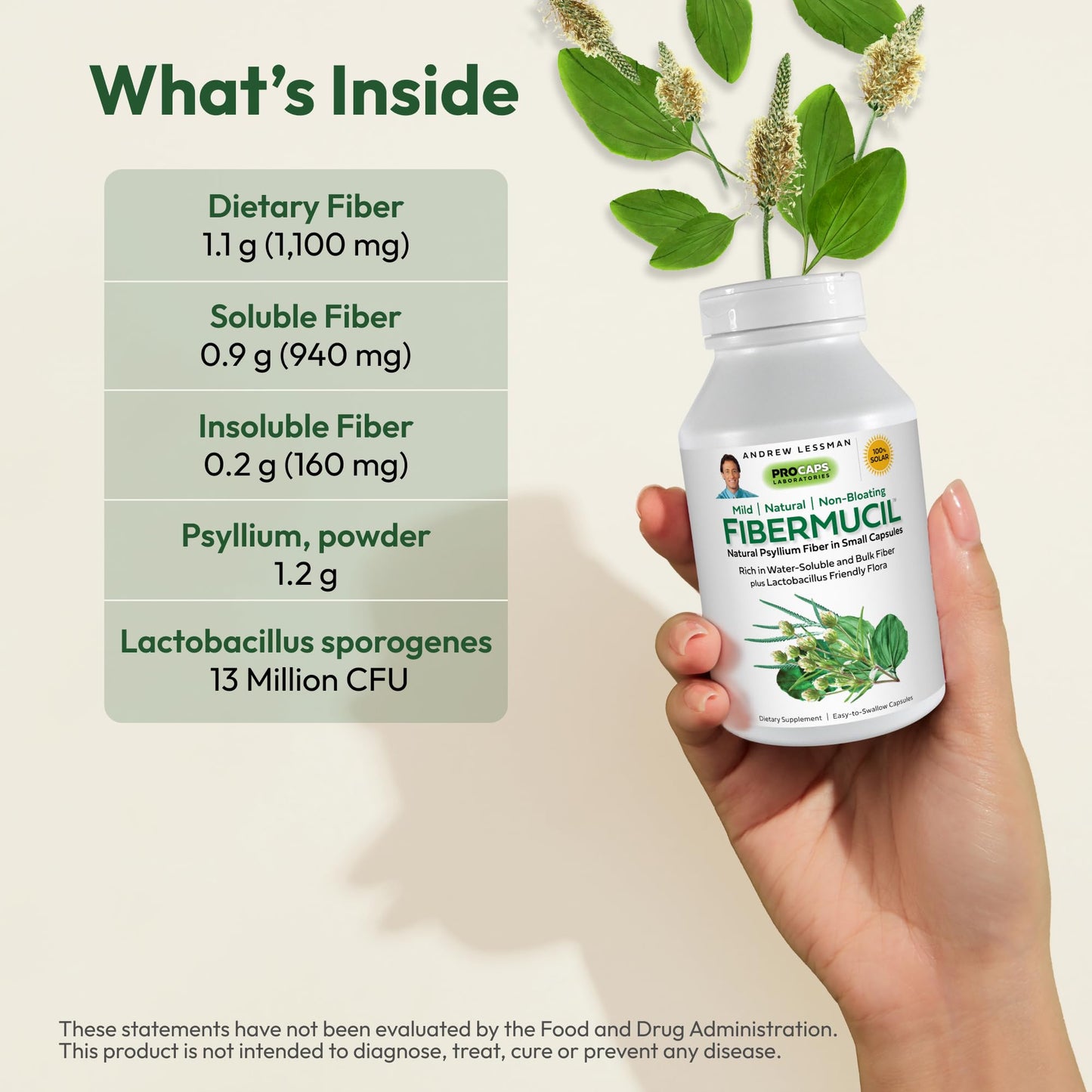 ANDREW LESSMAN Fibermucil 60 Capsules -Psyllium Husk Powder. Gently Promotes Regularity and Digestive Health. Rich in Fiber. Gentle, Easy, Effective. No Additives. Small Easy to Swallow Capsules