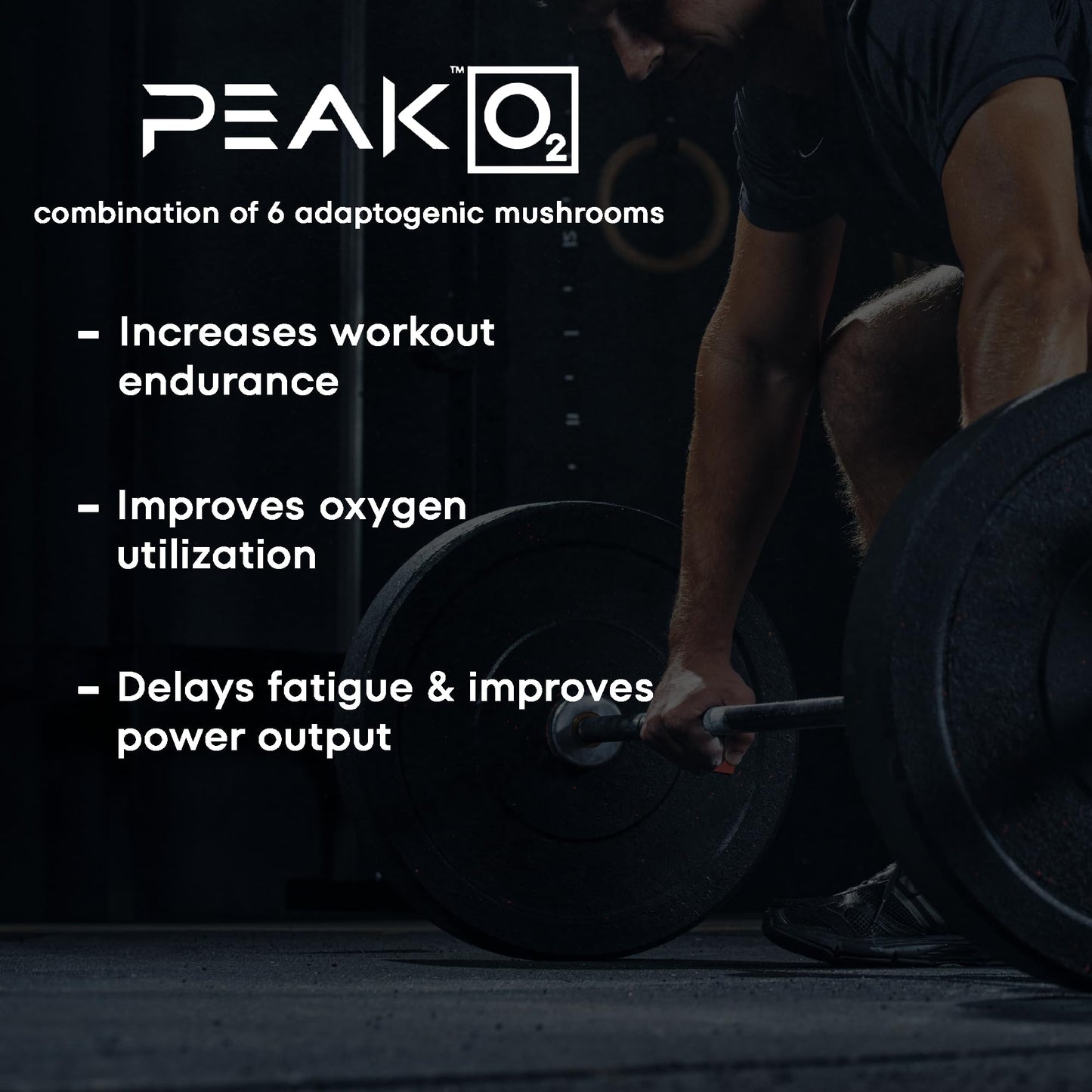 Scale Nutrition Build | Muscle Builder for Muscle Growth, Strength, Weight Gain, Endurance, Performance Enhancment for Men & Women | Trademarked Ingredients Peak02 & ElevATP | 60 Capsules