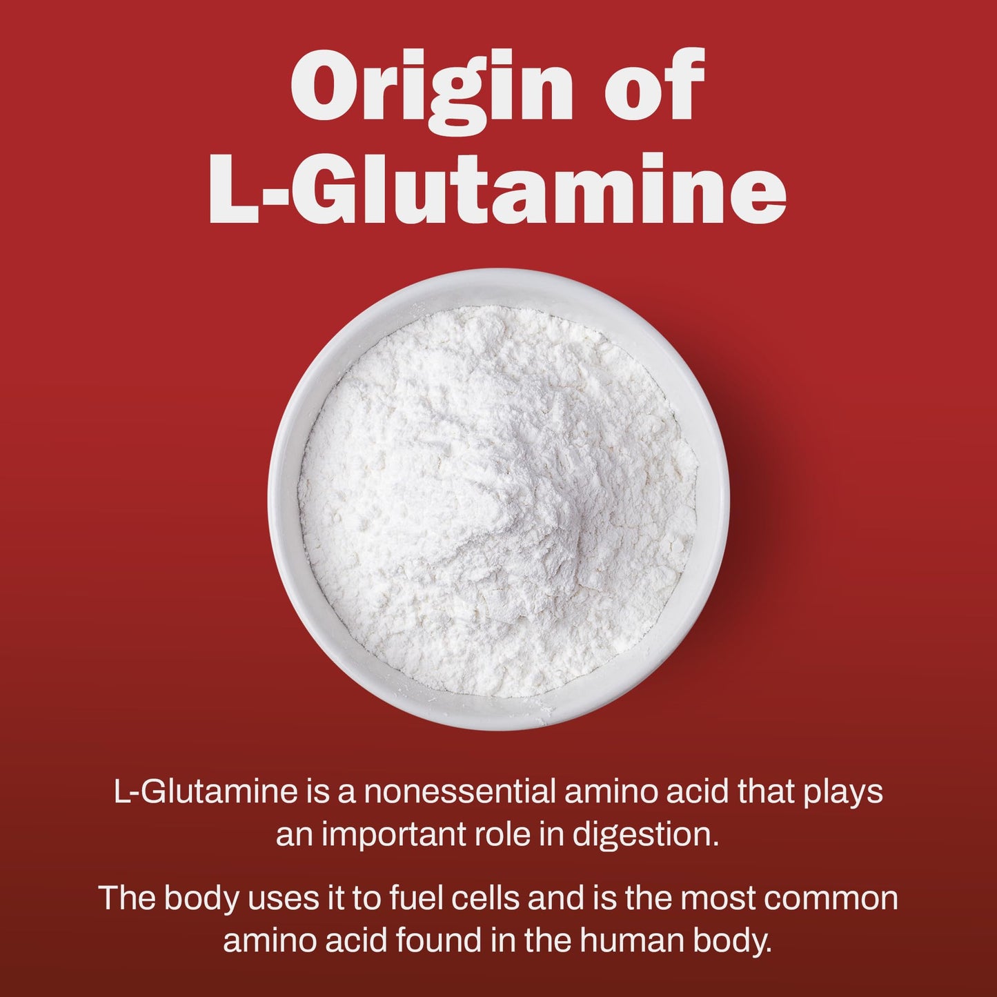 BOX NUTRA BoxNutra L-Glutamine Powder - Digestive and Immunity Support - Enhance Sports Performance and Muscle Recovery, 1kg