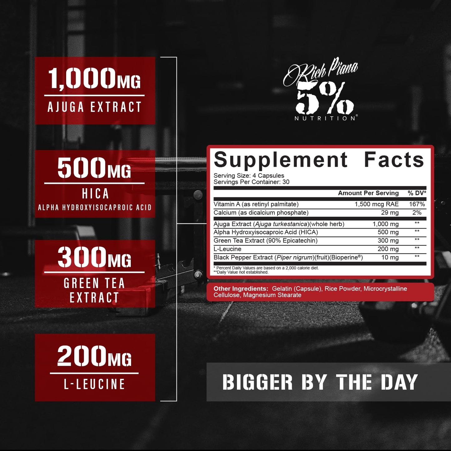 5% Nutrition Rich Piana BiggerByTheDay | Anabolic Muscle Builder, Hardcore Mass Gainer | Turkesterone, HICA, Epicatechin, Leucine | 120 Capsules (30 Servings)