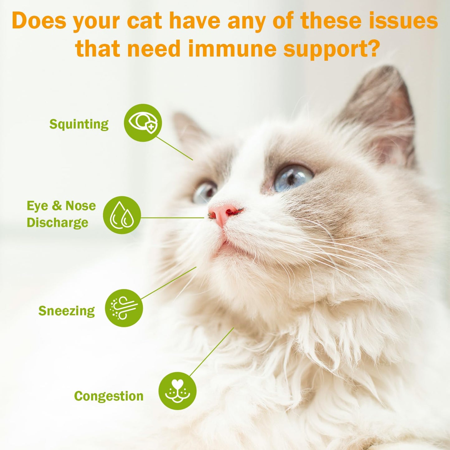 L-Lysine Powder Supplement for Cats Herpes Treatment for Cats - Immune Support & Respiratory Health - Supports Eye & Skin Health - Sneezing, Runny Nose, Squinting, Watery Eyes - 60g