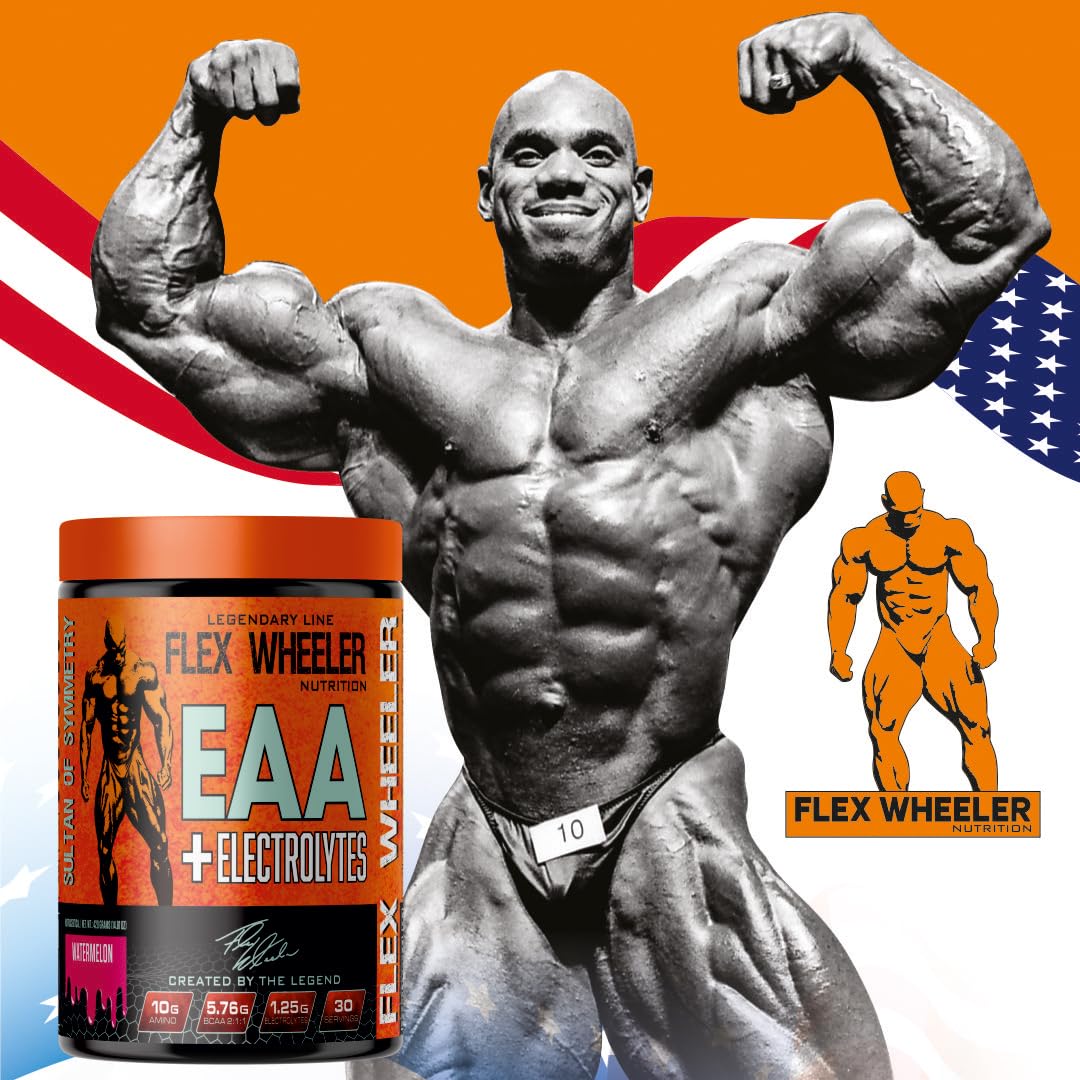 FLEX WHEELER NUTRITION EAA+Electrolytes | 420g (30 Serving, Fruit Punch)