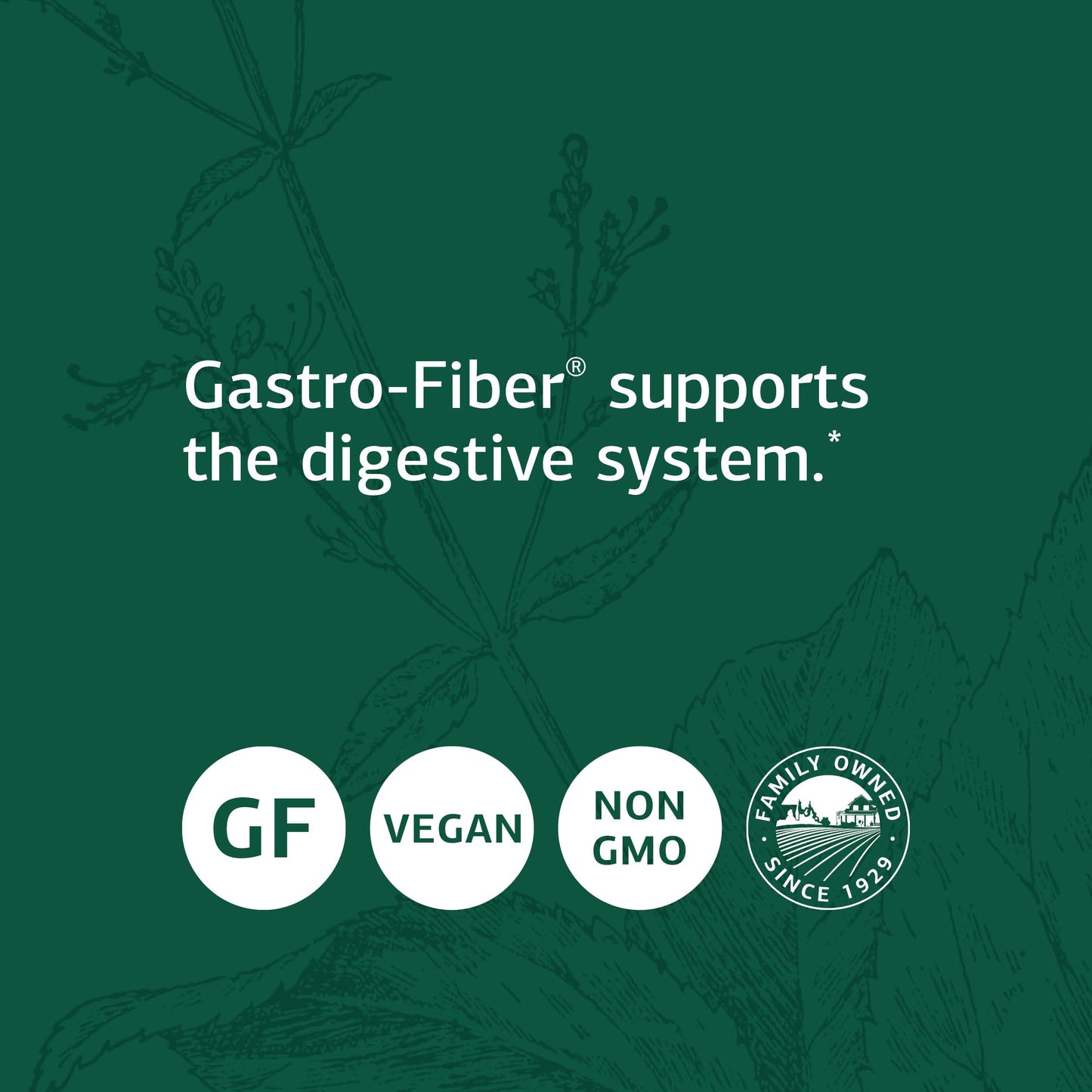 Standard Process Inc. Gastro-Fiber - Whole Food Digestion and Digestive Health, Indigestion, and Cramps with Collinsonia Root, Apple Pectin, and Fennel Seed - 150 Capsules