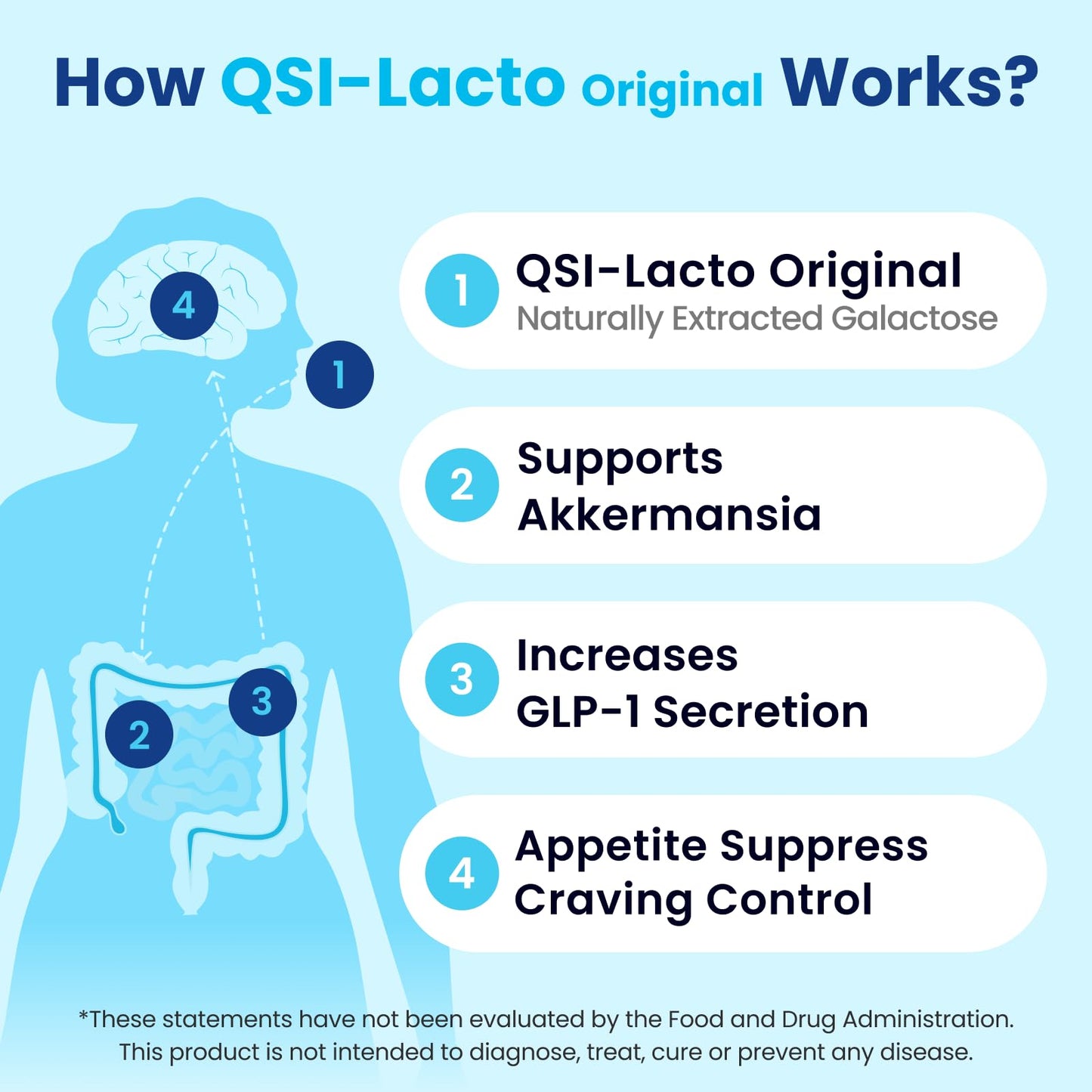 QSI-Lacto Original 3 Packs, 270 Servings, Naturally Supports GLP-1 Level Elevation, Galactose Included, Gut Health, Prebiotics, Chewable
