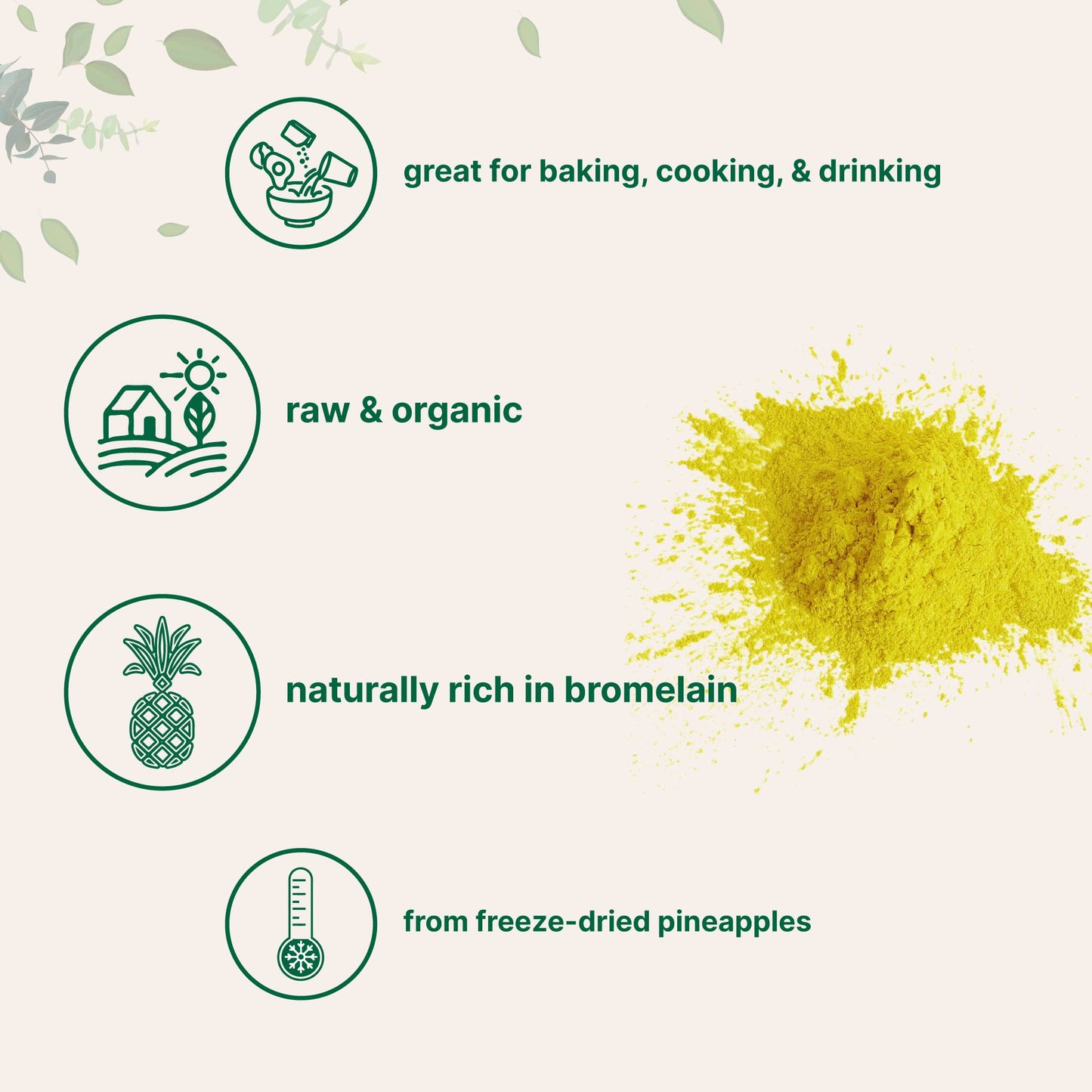 Organic Pineapple Powder 8oz  100 Natural Fruit Powder  FreezeDried Pineapples Source  No Sugar  Additives  Great Flavor for Drinks Smoothie  Beverages  NonGMO  Vegan Friendly