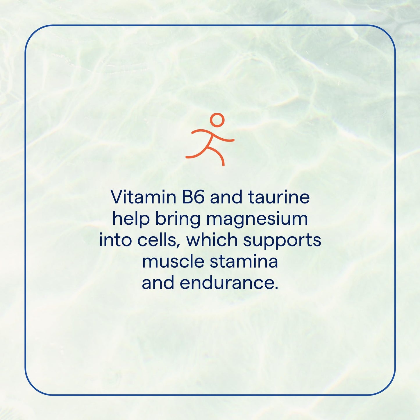 Trace Minerals Electrolyte Stamina - Heart Health & Hydration Support - Electrolyte Supplement Aids Muscle Cramp Relief & Endurance - Mineral Supplement with Magnesium - 300 Tablets (50 Servings)