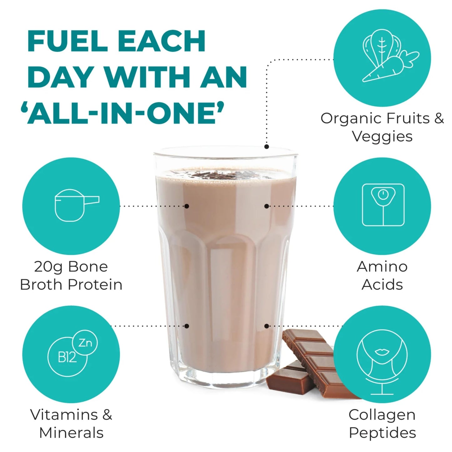 Reignite Wellness by JJ Virgin | Chocolate Paleo-Inspired All-in-One Shake | Gluten Free + Dairy Free Protein Powder | Contains 20G of Beef Protein with Vitamins, Minerals, Amino Acids | 30 Servings
