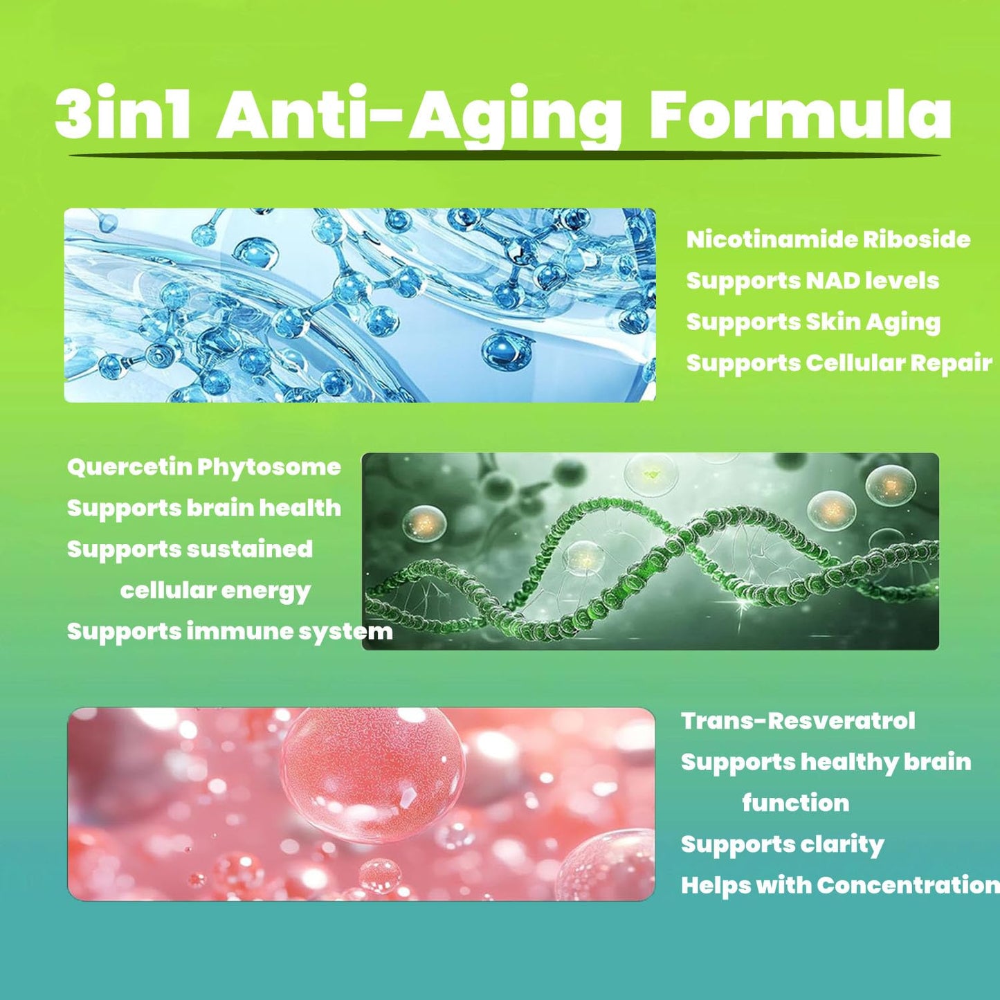 Renyqatt NAD+ Supplement - Liposomal Nicotinamide Riboside - Supplement for Anti-Aging, Energy, Focus - 80 Capsules（1B）