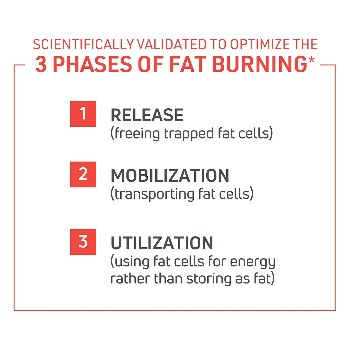 Novex Biotech ThermoDyne - Thermogenic Fat Burner - Appetite Suppressant - Metabolism Boost - Burn Calories - Energy Booster - Fat Burning Pills - Promote Lean Muscle Tone - 30-Day Supply