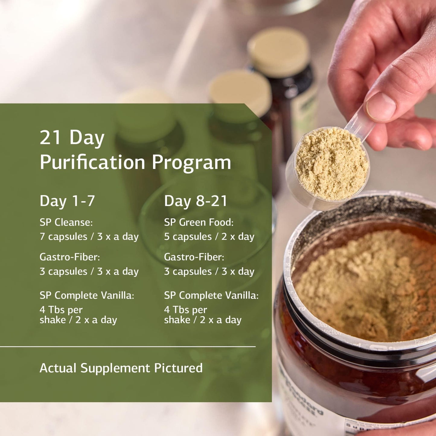 Standard Process Purification Kit with SP Complete Vanilla and Gastro-Fiber - Detox and Liver Support with Milk Thistle, Whey Protein, Fiber, Choline, and Calcium