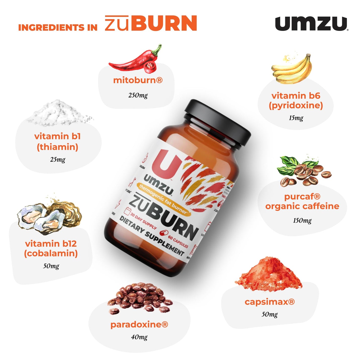 UMZU ZuBurn Thermogenic Fat Burner Supplement for a Healthy Body Composition | Natural Ingredients to Support Metabolism, Increase Calorie Burn & Reduce Body Fat* (30 Day Supply | 60 Capsules)