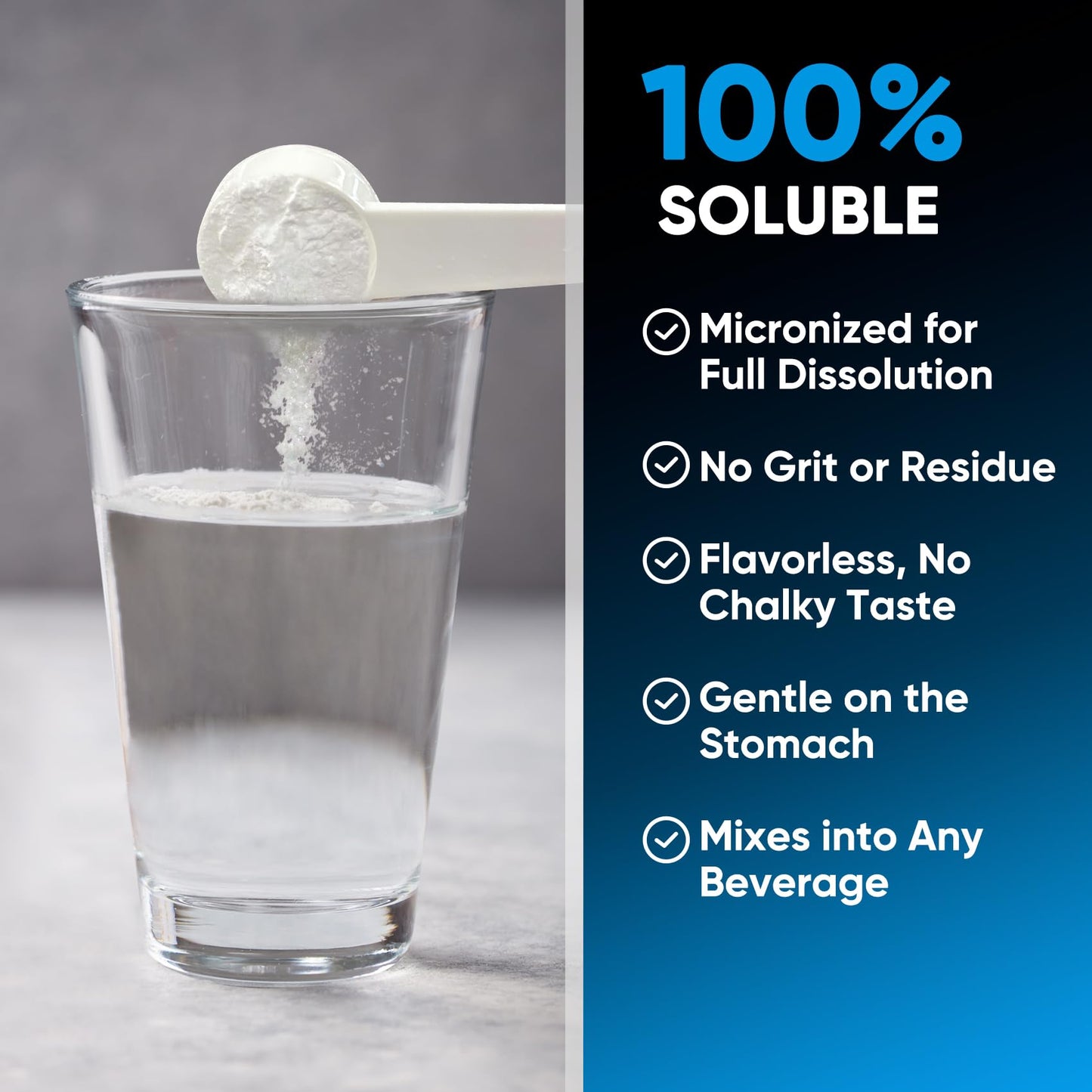 Venture Pal Micronized Creatine Monohydrate Powder - Unflavored Creatine for Women & Men, Creatina Monohidratada en Polvo