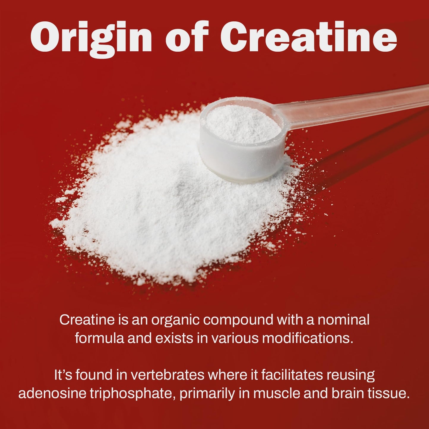 BoxNutra Creatine Monohydrate Powder - Creatine Powder for Men and Women Increases Muscle Gain - Unflavored Creatine Dissolves Well in Shakes, Smoothies, and More, 200 Servings