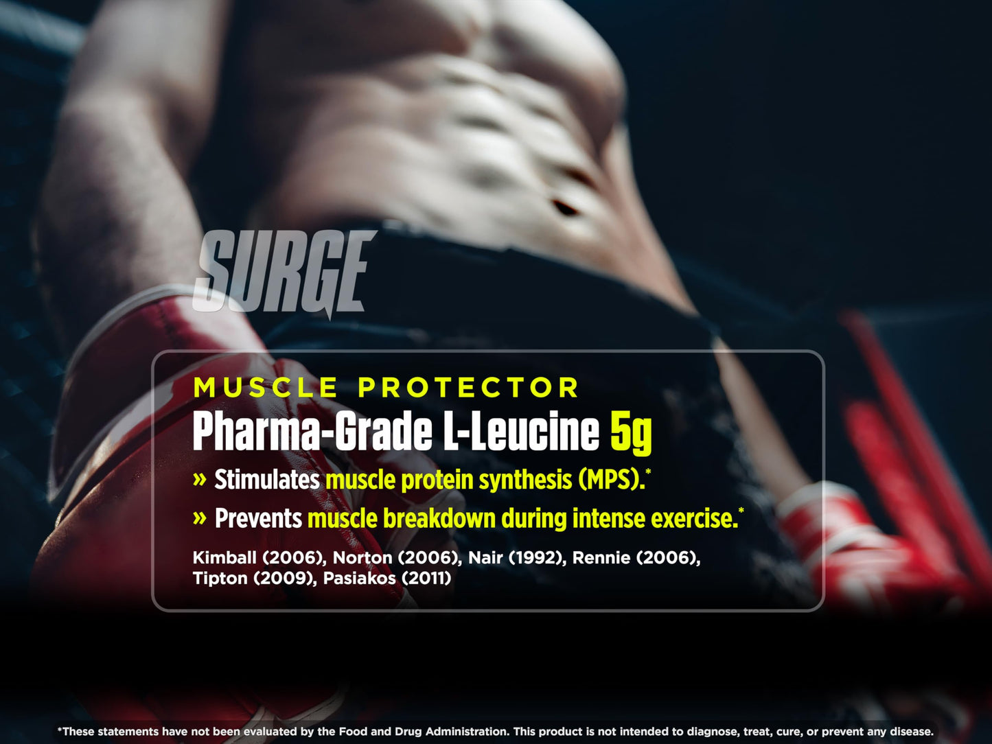 Biotest Surge Intra Performance Booster - Cluster Dextrin (HBCD), Citrulline Malate, L-Leucine, Betaine, Beta-Alanine (15 Servings, Wild Berry) 1.82lb