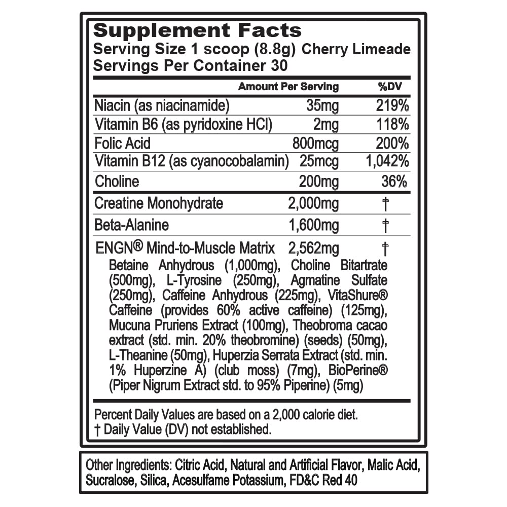 Evlution EVL Intense Pre Workout with Creatine - ENGN Energizing Pre Workout for Men Powder Drink for Lasting Energy Focus and Recovery - with Beta Alanine Caffeine and L Theanine - Cherry Limeade