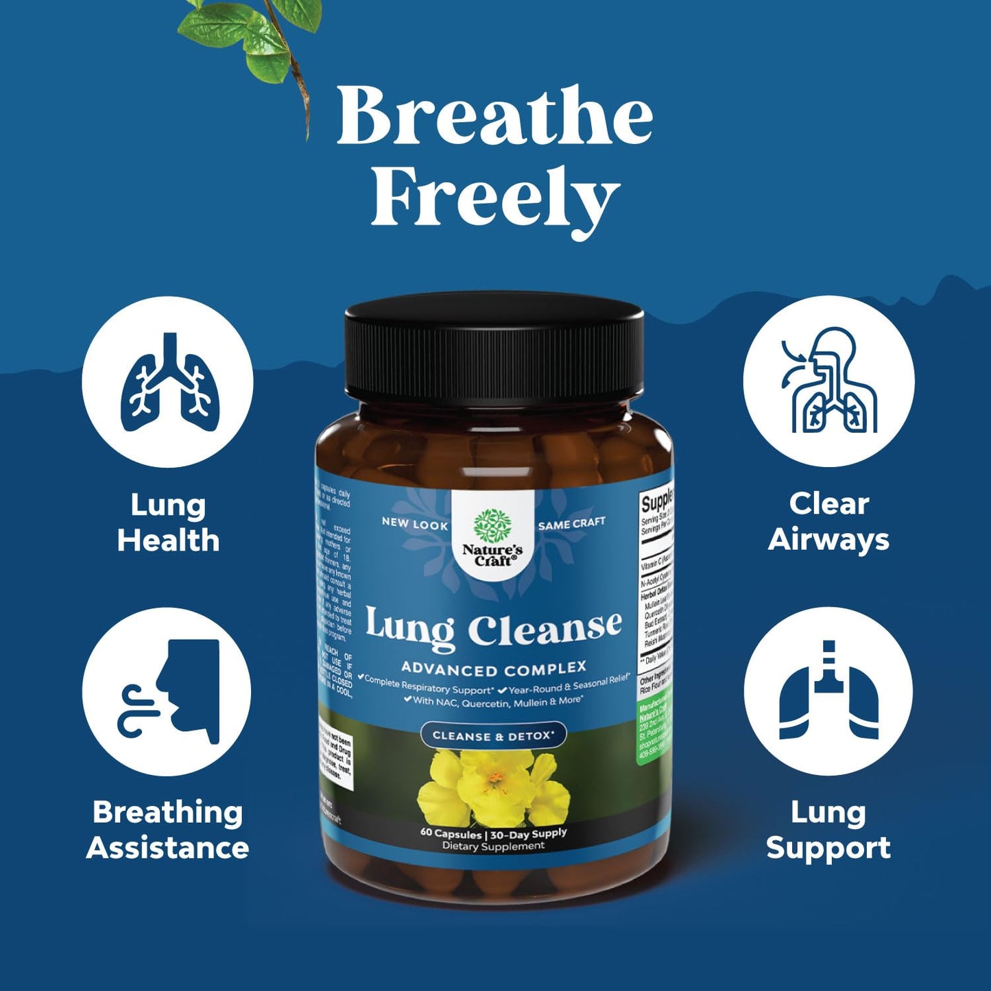 Lung Detox Mullein Leaf Capsules - Purifying Mullein Lung Cleanse Complex with NAC Quercetin & Cordyceps Extracts - Mullein Leaf Herb Respiratory Supplement for Sinus Immunity & Breathing Support