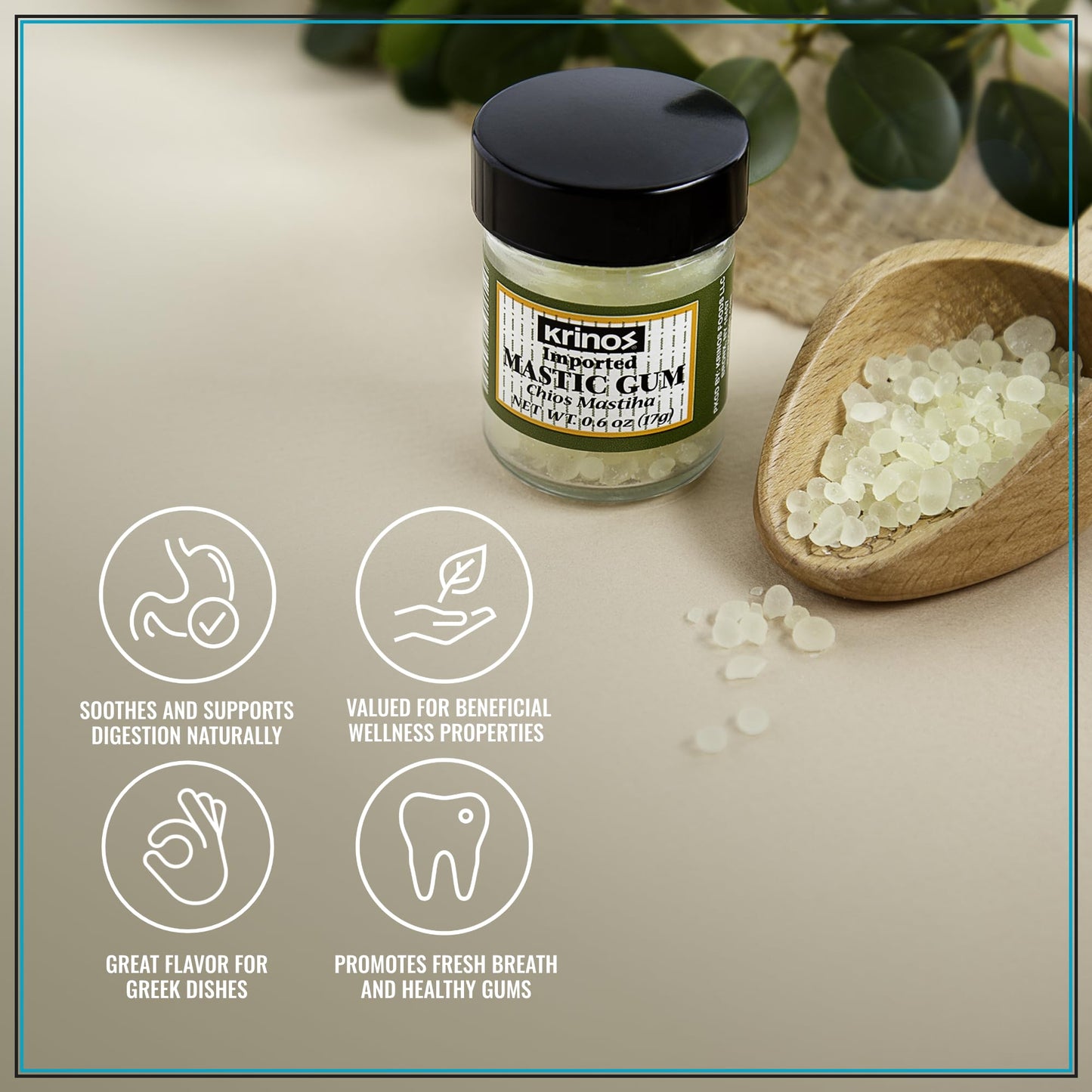 Krinos Greek Mastic Gum Rich History Piney Flavor Culinary Treasure  Chios Island PDO Product 17g jar