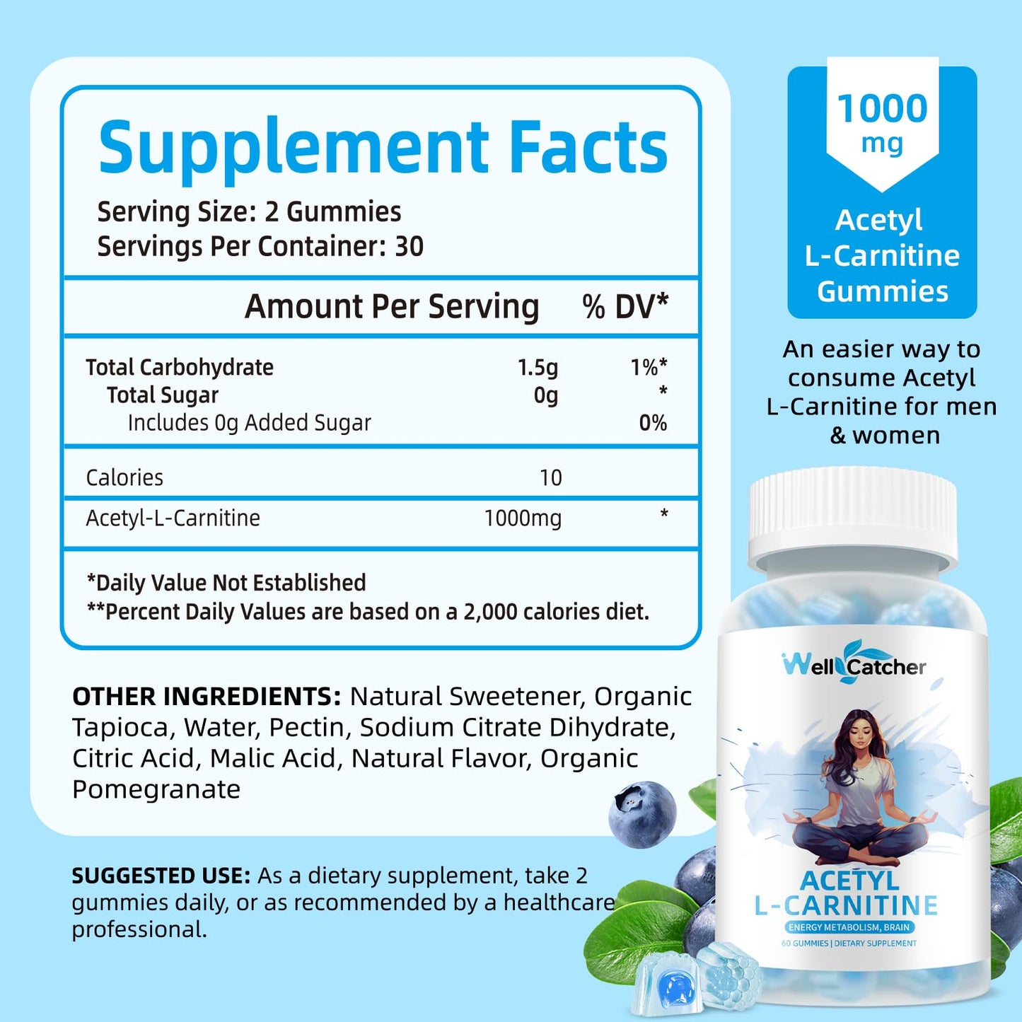Wellcatcher Acetyl L-Carnitine Gummies 1000 MG - Sugar Free L-Carnitine Supplement for Muscular Endurance, Brain Health, Energy Metabolism - Vegan Non-GMO - Blueberry Flavoured - 60 Counts