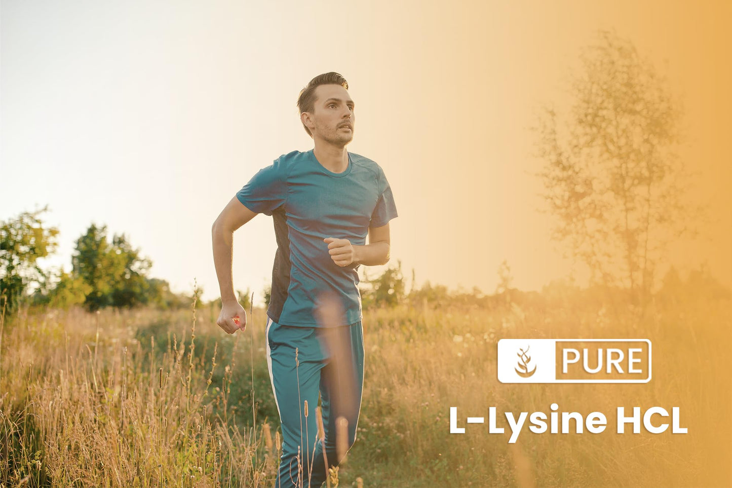 Pure Original Ingredients L-Lysine HCl (1lb) Alpha Amino Acid, Non-GMO, Gluten-Free