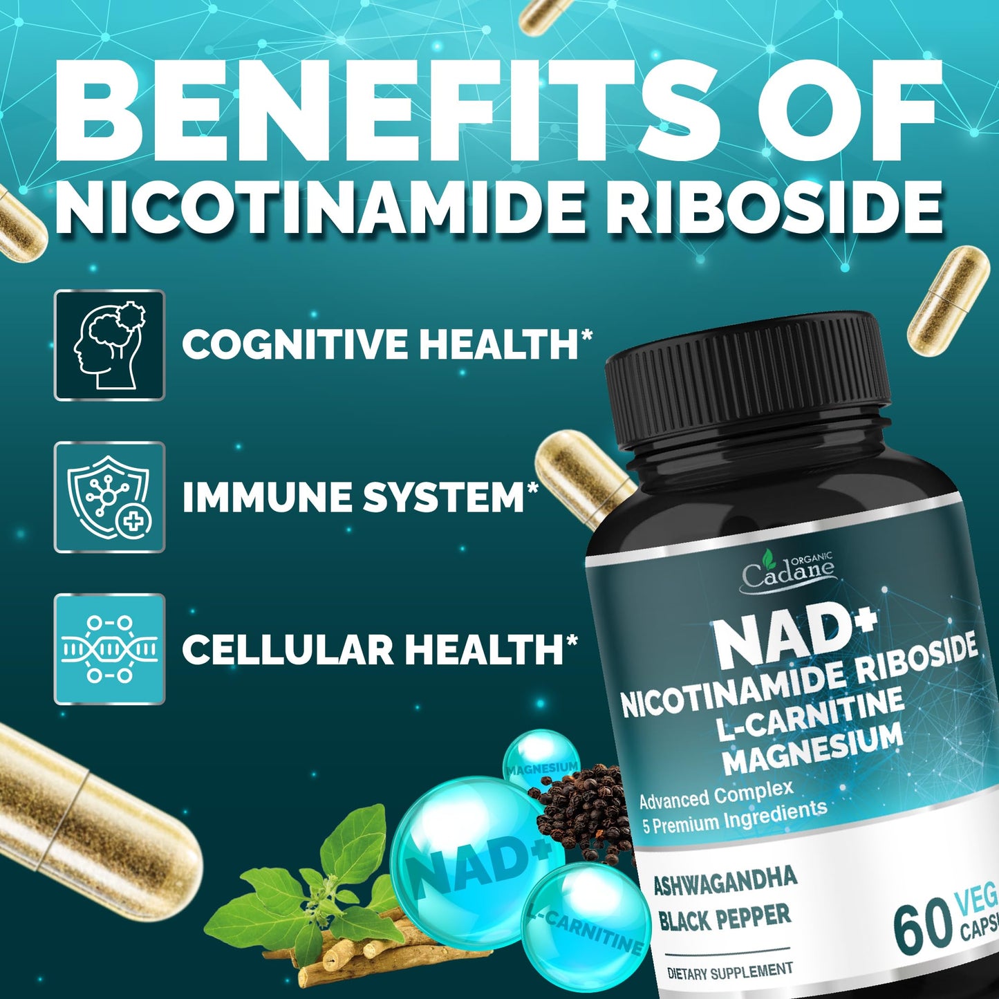 Organic Cadane Nicotinamide Riboside Supplement with L-Carnitine, Magnesium Glycinate, Ashwagandha, Black Pepper | Cellular Health & Wellness Support | Vegan, Non-GMO - 60 Capsules - 30-Day Supply