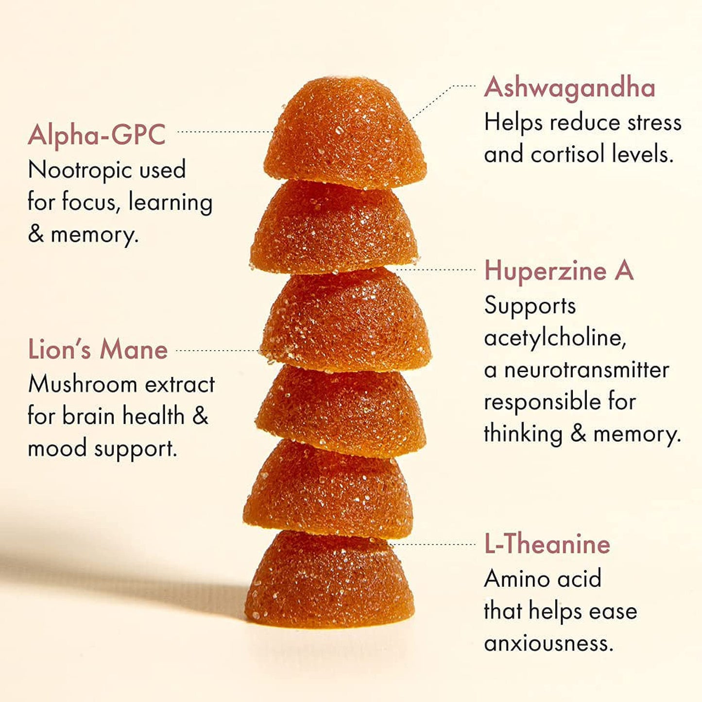Winged Wellness Rise Up, Energy & Focus Gummies for Women - Daily Brain Boost Gummy Supplement with Natural Caffeine, Ashwagandha, B12, Nootropics Alpha-GPC & Lion’s Mane - Pineapple, 30 Gummies