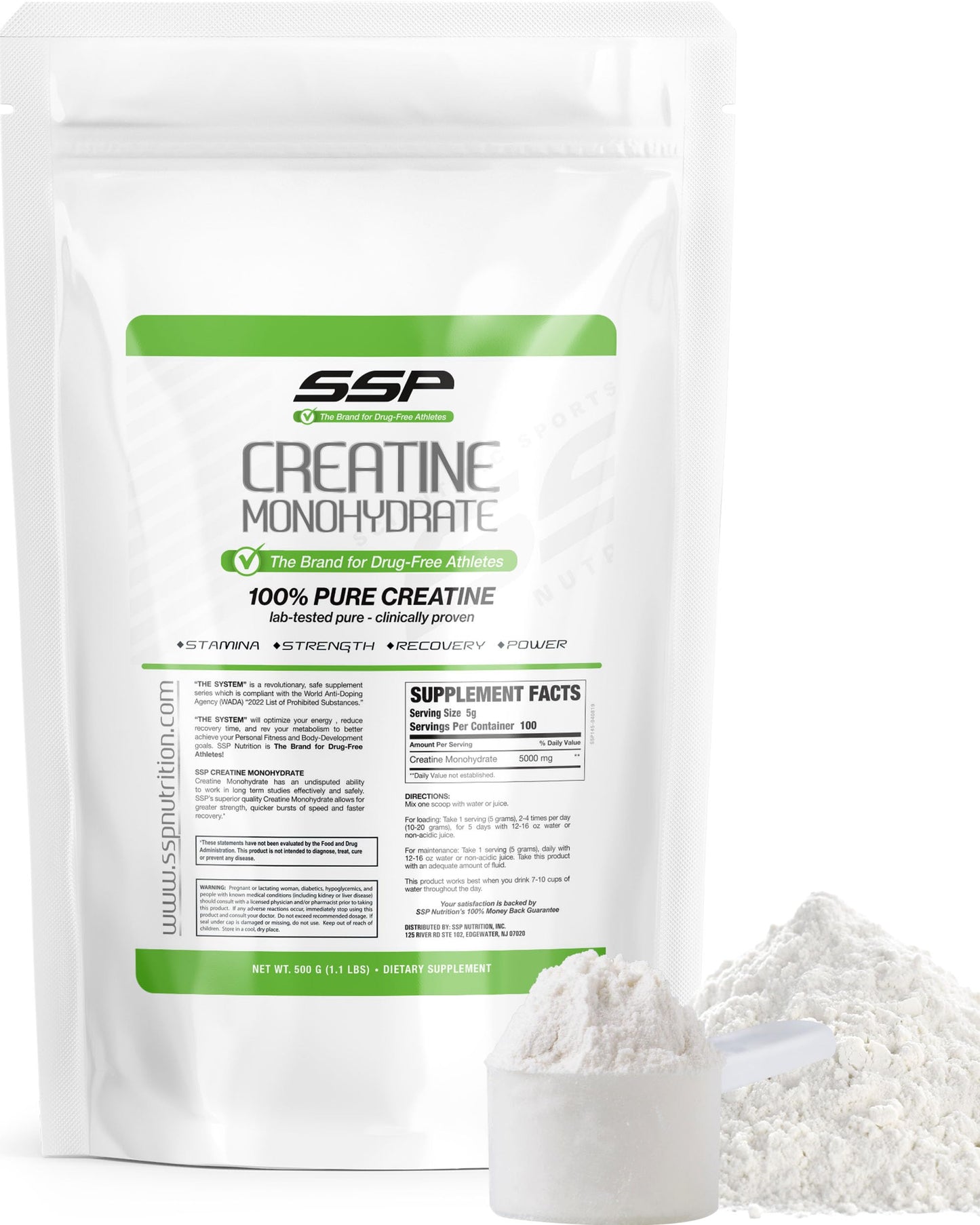 SSP Creatine Monohydrate - Unflavored Supplement for Hydration, Recovery & Muscle Support - Workout & Fitness Nutrition for Women & Men - 100% Pure Creatine