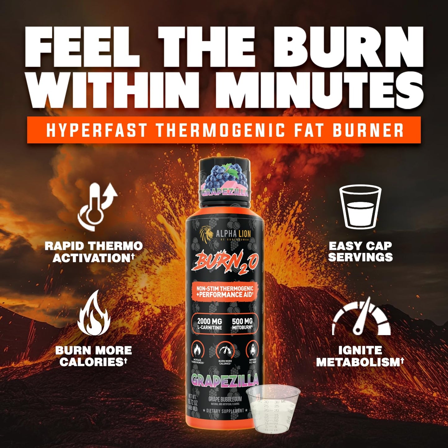 ALPHA LION Burn2O L-Carnitine Liquid 2000mg - Stim Free Super Thermogenic Fat Burner with MitoBurn® & CaloriBurn GP®, Metabolism Booster, Zero Calorie, Sugar-Free (31 Servings, Grapezilla Flavor)