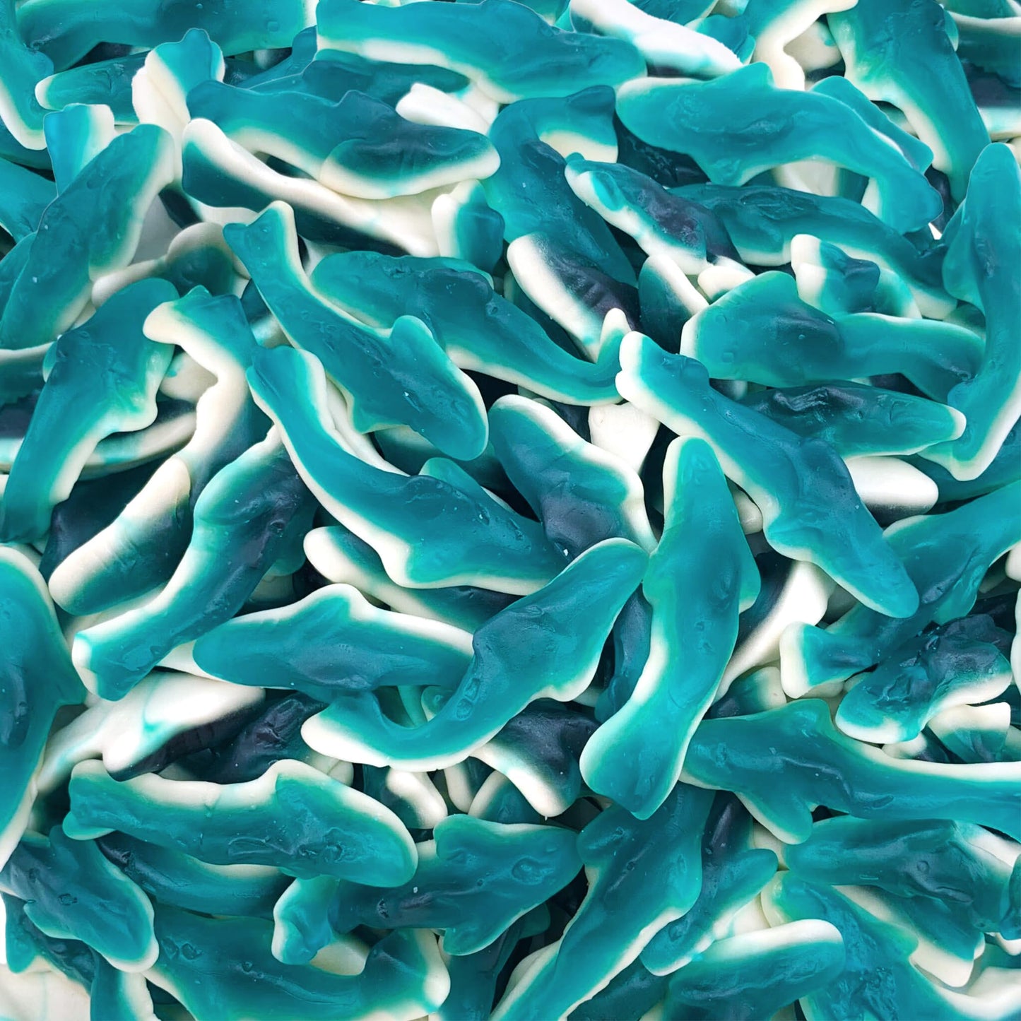 Blue Sharks Raspberry Marshmallow Gummy Candy 1 Pound Bag