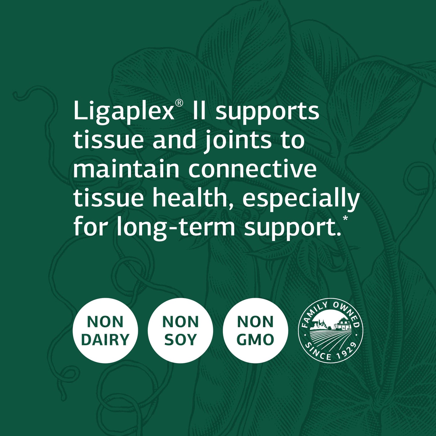 Standard Process Ligaplex II - Joint & Bone Support - Manganese Supplement with Vitamin B12, A & D - Skeletal System & Joint Support Supplement - 150 Capsules