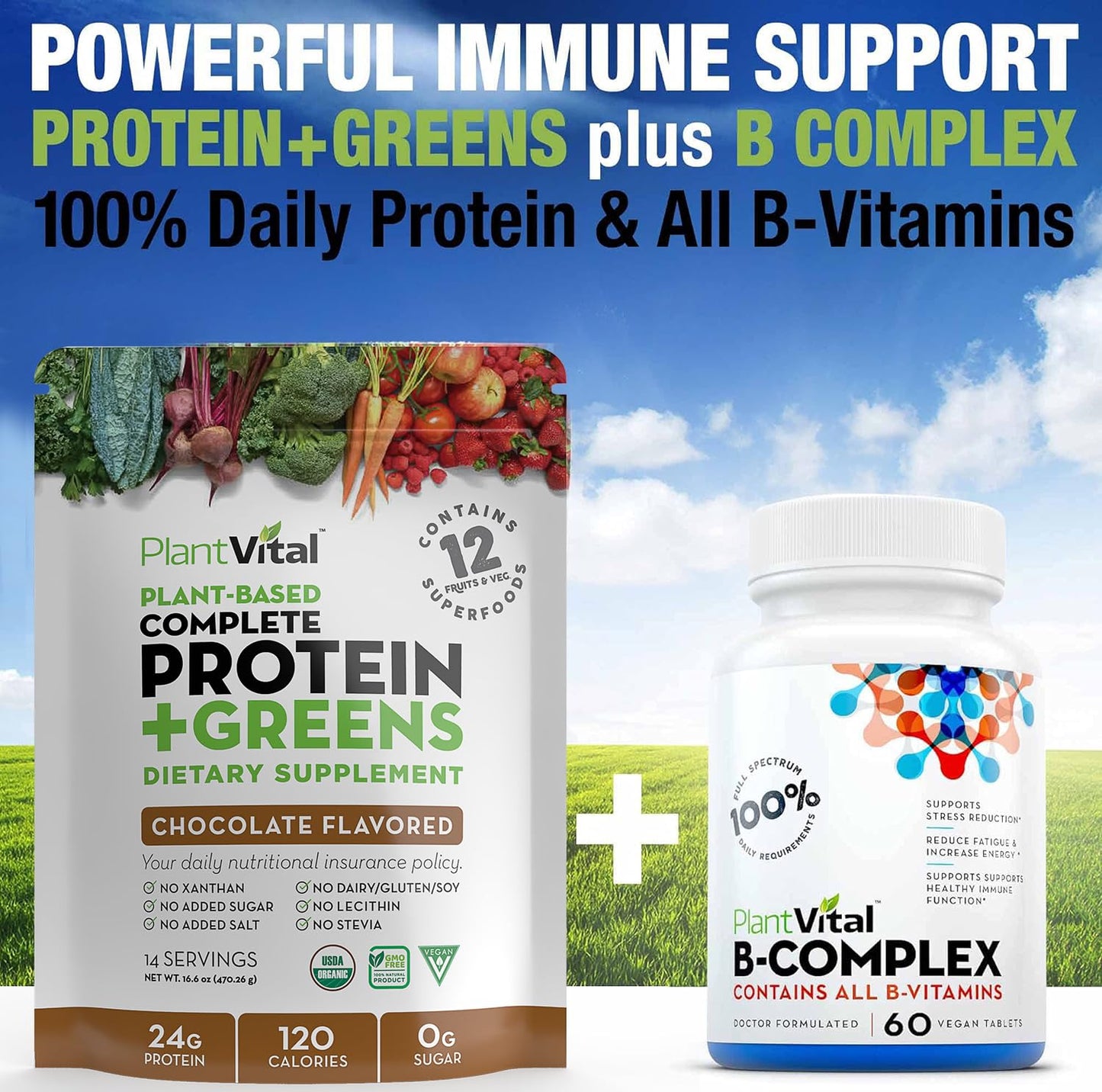 PlantVital Vegan Protein Powder Plant Based, Organic Protein Powder Chocolate, 24g/0g sugar, 12 Superfoods, Veggies, Probiotics, Raw Cocoa, Kale, Beets, Spirulina, Pea, Gluten-Free, Keto-Friendly,16oz