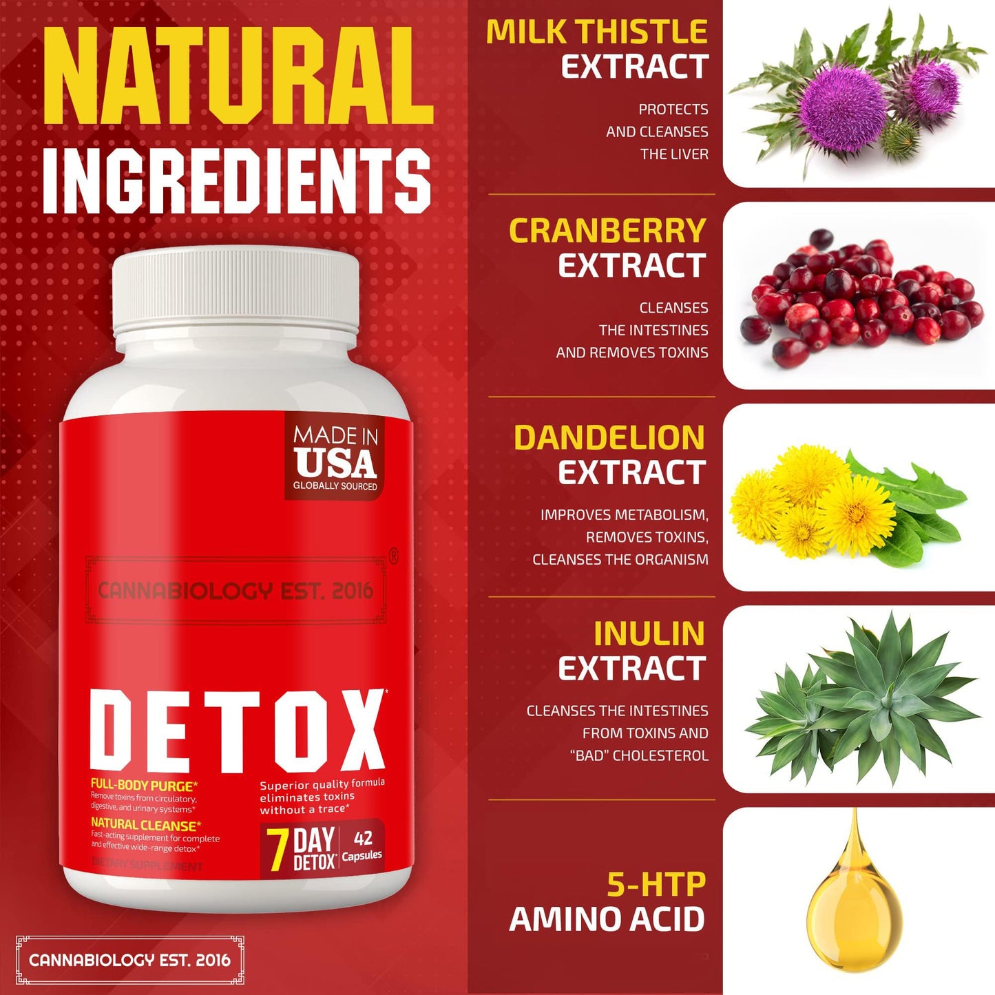CANNABIOLOGY EST. 2016 Complete Body Cleanse - Natural Detox Body Cleanse Support for Liver, Urinary Tract, Digestive System - Made in USA - Body Detox and Cleanse for Women & Men - 42 Vegan Caps