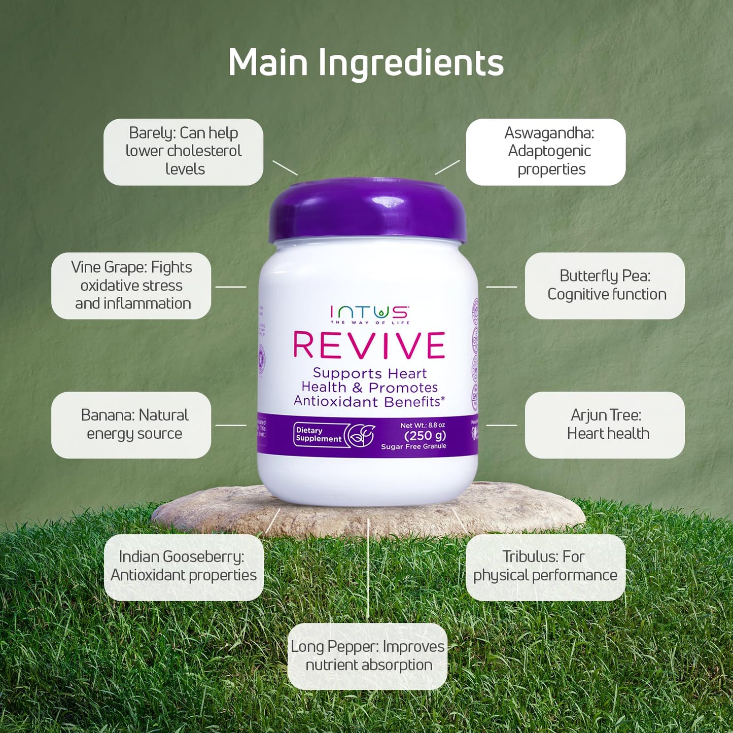 Intus Revive - Ayurvedic Dietary Supplement for Heart Health with Ashwagandha and Antioxidants - Immune Support Supplement That Can Help Control Blood and Improve Chronic Fatigue - 8.8 oz