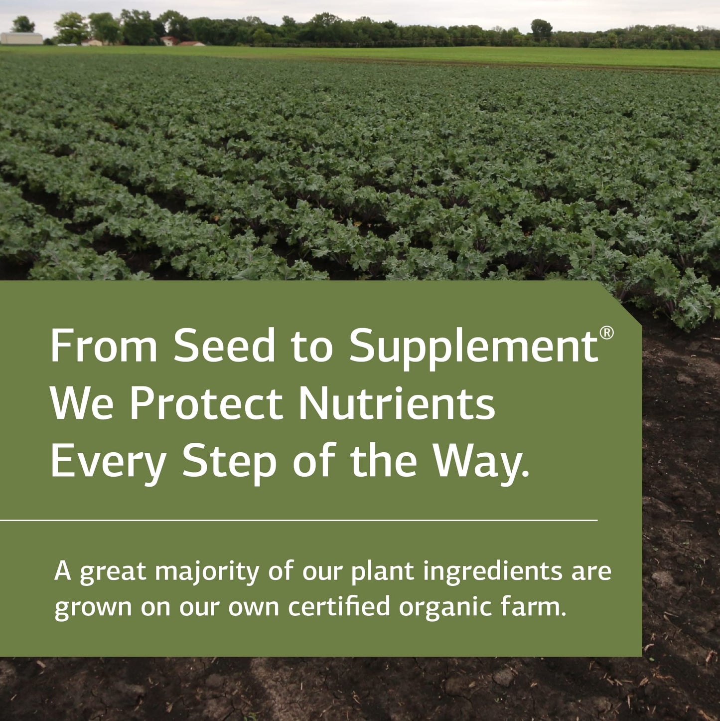 Standard Process Inc. Whey Pro Complete - Whole Food Immune Support with Colostrum, Chicory Root and Whey Protein Powder - 21 Ounce, 25 Servings