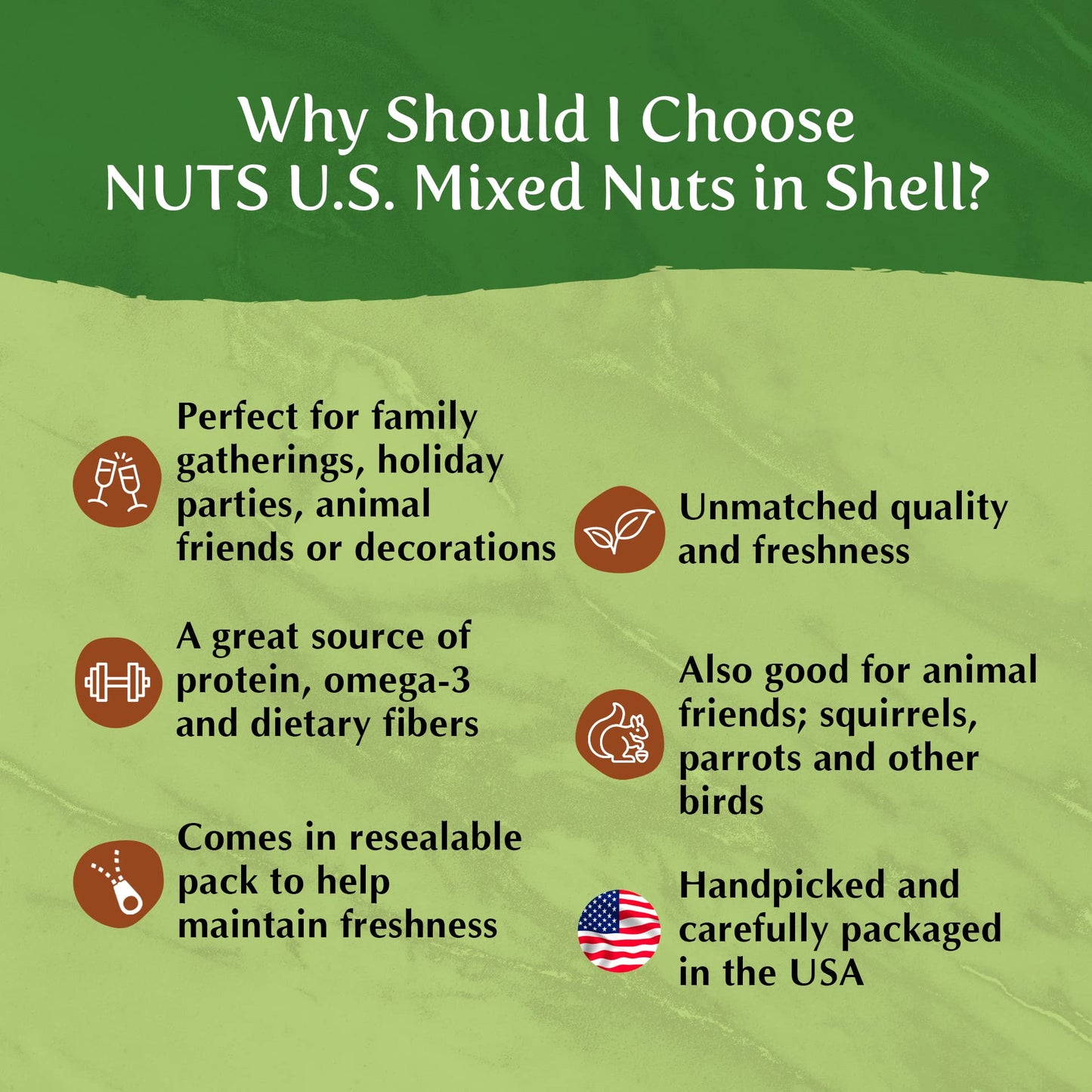 NUTS US  Mixed Nuts In Shell Almonds Walnuts Hazelnuts Pecans Brazil Nuts  No Added Colors and No Artificial Flavors  Fresh Buttery Taste and Raw Packed In Resealable Bags 6 LBS