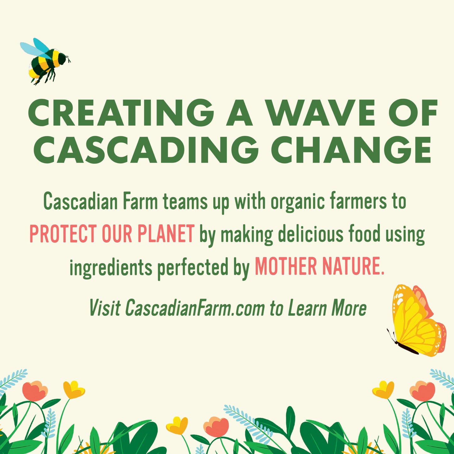 Cascadian Farm Organic Granola Cocoa Almond Protein Granola NonGMO 9 oz Resealable Pouch