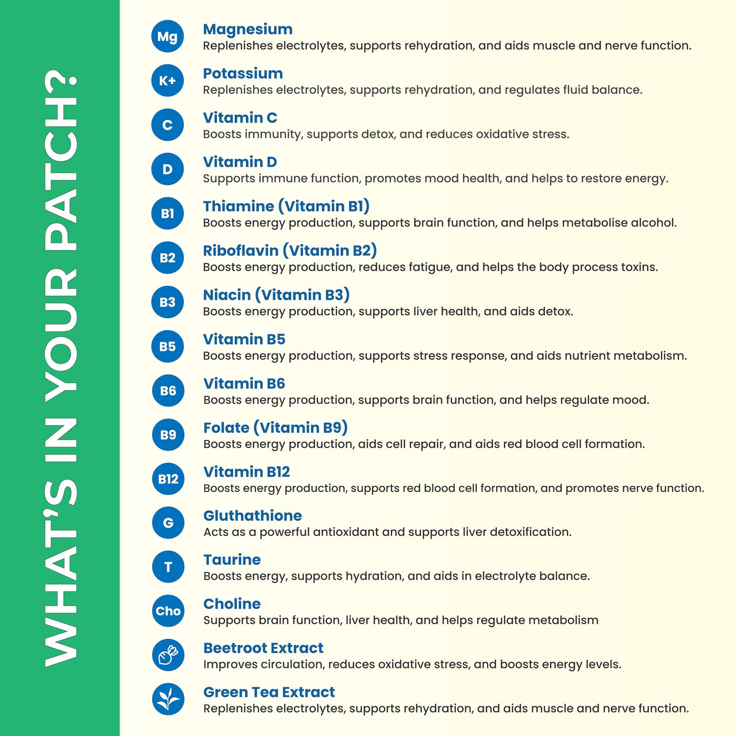 Alevial Party Recovery Patches 60 Pack