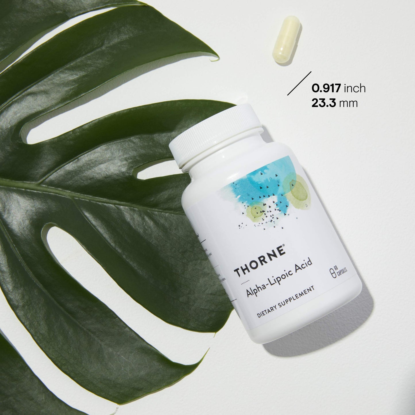THORNE Alpha-Lipoic Acid - 300 mg - Supplement Liver Detox, Antioxidant Support, Nerve Health and Mental Sharpness* - 60 Capsules