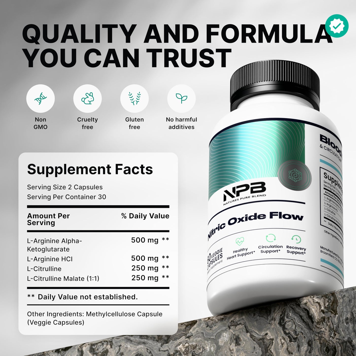 Nature's Pure Blend Nitric Oxide Supplements for Men - L-Arginine L-Citrulline - Heart Support, Blood Pressure & Flow Circulation Booster - 1500MG L Arginine and L Citrulline, Preworkout, Bodybuilding