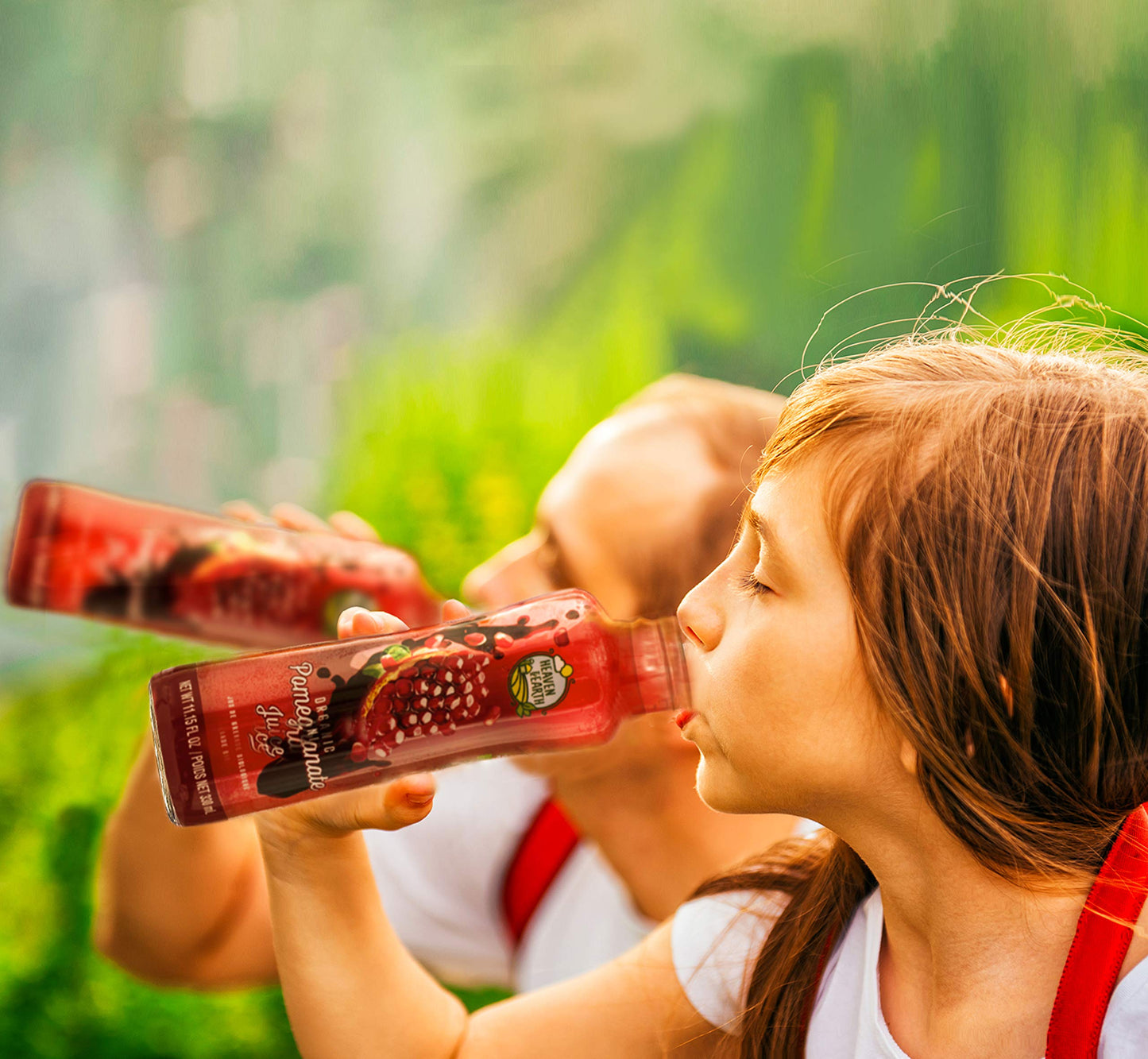 Heaven  Earth 100 Pure Organic Pomegranate Juice 1115oz 6 Pack NO Concentrate Cold Pressed Non GMO Verified No Sugar Added No Preservatives
