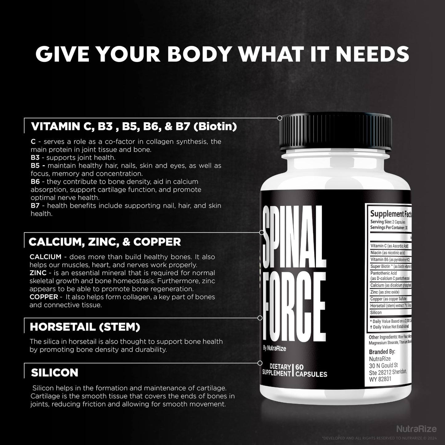 NutraRize (2 Pack) Spinal Force Capsules, SpinalForce Back & Joint Supplement, All-Natural Formula to Suppport Flexibility and Overall Healthy Joints, Official Spinal Force Reviews (120 Capsules)
