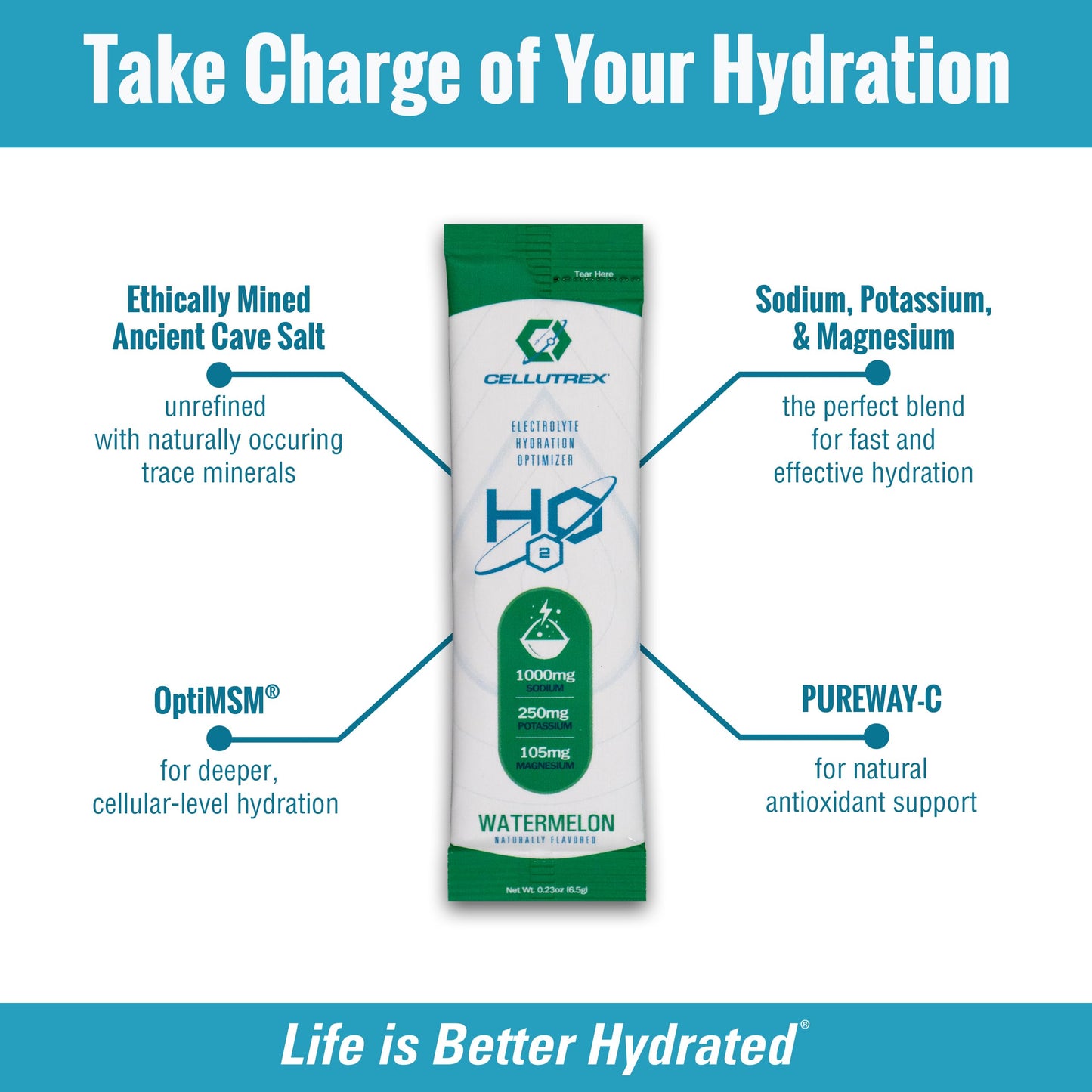 Cellutrex® H2O Electrolytes - Watermelon | Zero Sugar Electrolyte Powder Drink Mix | Natural Salt, Non-GMO Electrolytes for Workouts, Fasting, Wellness, and Travel | 20 Easy-Open Stick Packs