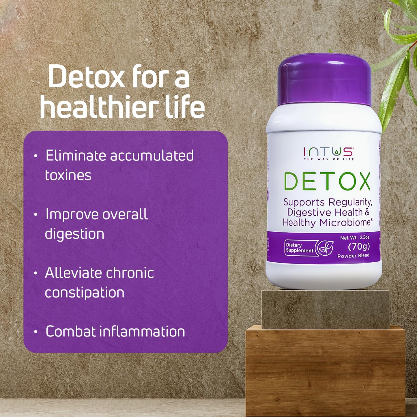 Intus Detox | Colon Cleanse and Liver Detox for Digestive Health | Ayurvedic Herbal Supplement to Support Gut Health, Chronic Constipation, Improve Digestion, and Provide Bloating Relief | 2.5 oz