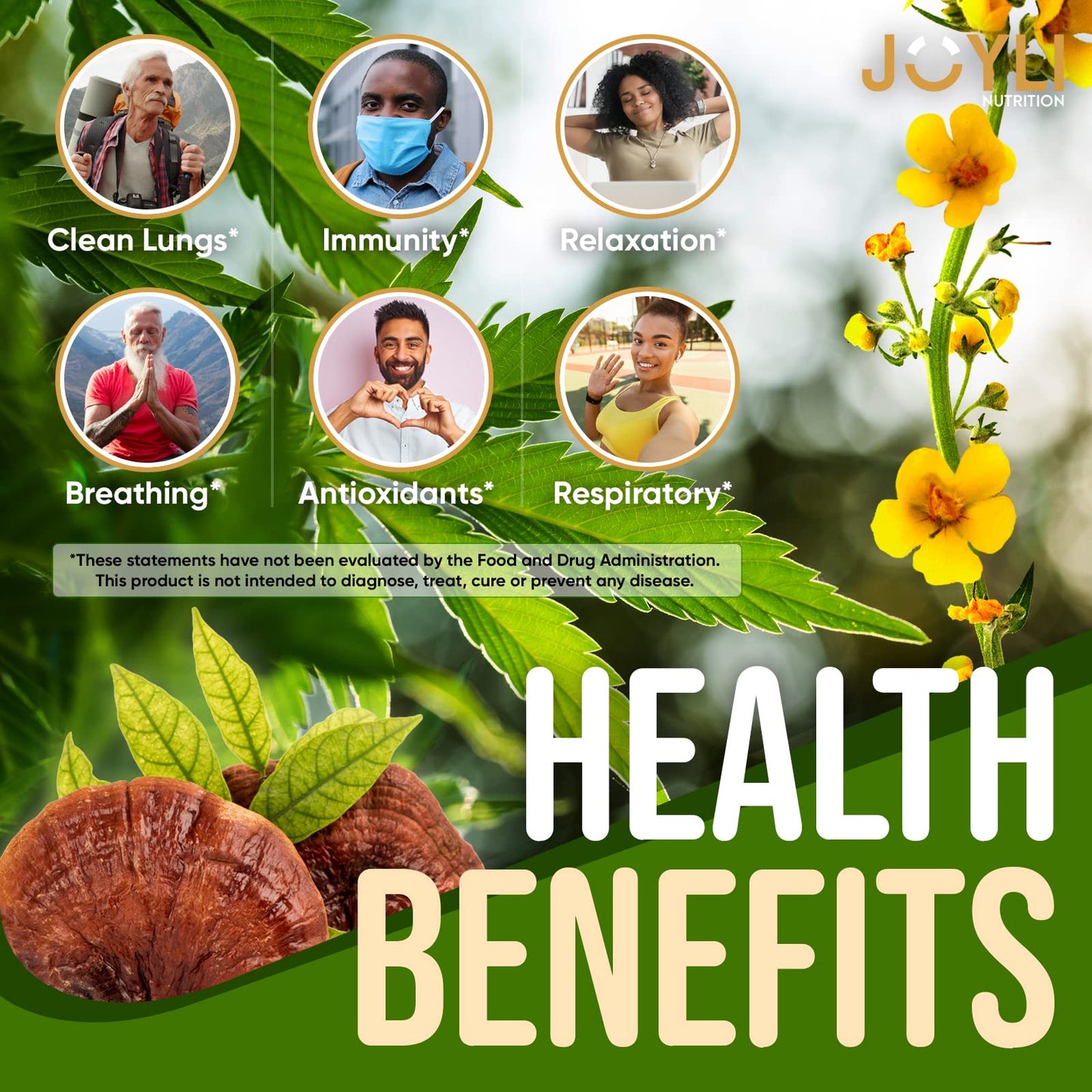 2 Pack - JOYLI Hemp Gummies for Lung Cleanse - Sugar-Free Vegan Gummies with Mullein Leaf, Reishi Mushroom, & Multivitamins - Natural Lung Support Supplement - 60 per Pack
