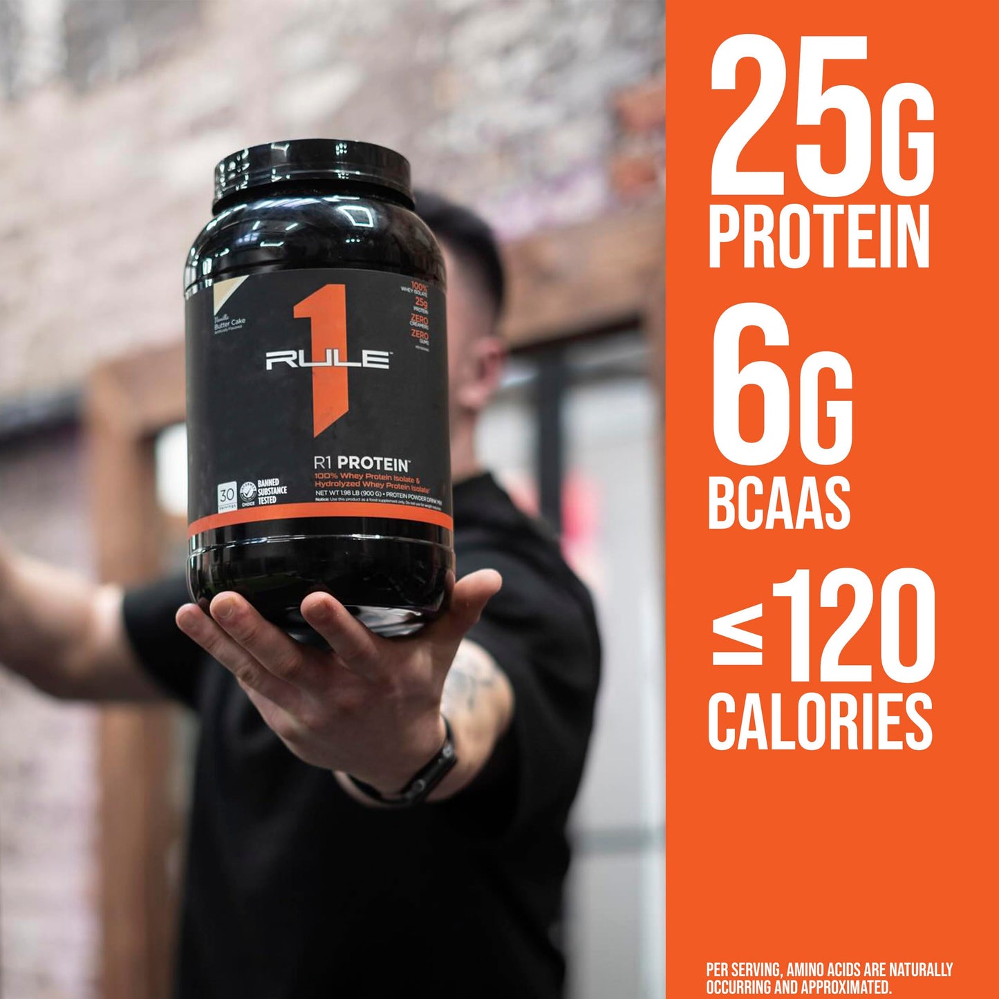 Rule One Proteins R1 Protein - 25g Fast-Acting, Super-Pure 100% Isolate and Hydrolysate Protein Powder with 6g BCAAs (5 Pounds*, Mint Chocolate Chip)