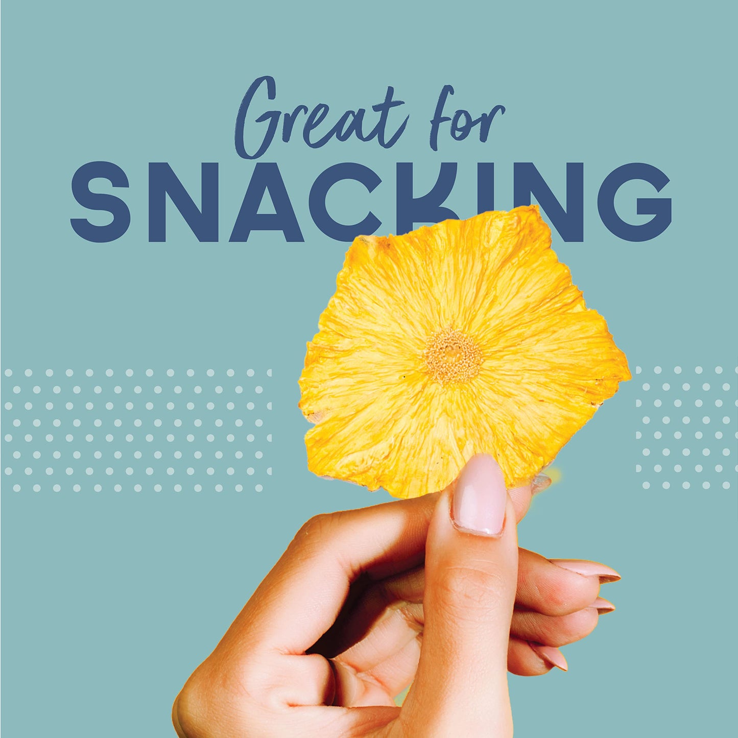 BlueHenry Dehydrated Pineapple SlicesFlowers  3 oz  20 slices  Natural Fruit