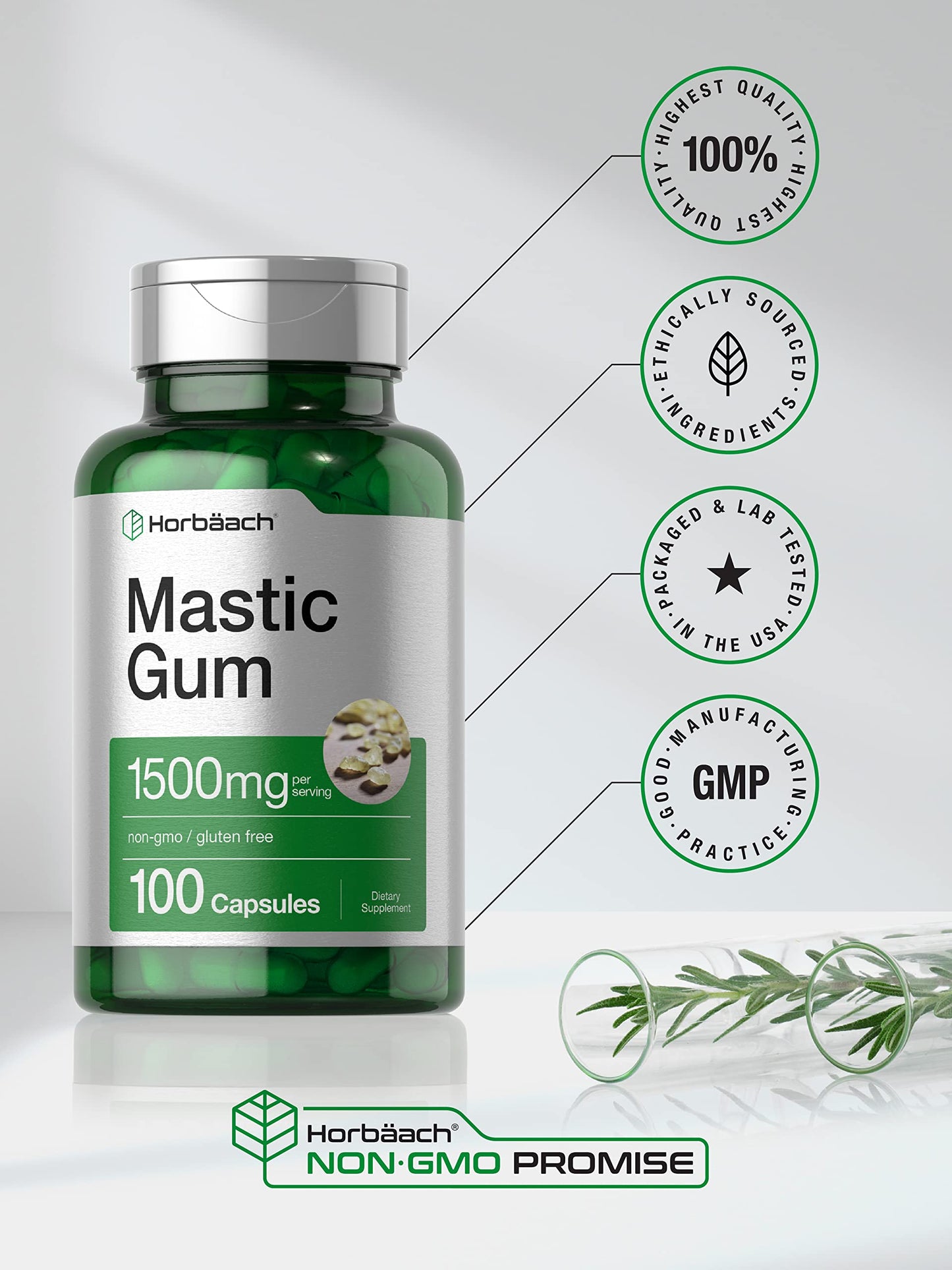 Horbäach Mastic Gum Capsules 1500mg 100 Count | Non-GMO & Gluten Free