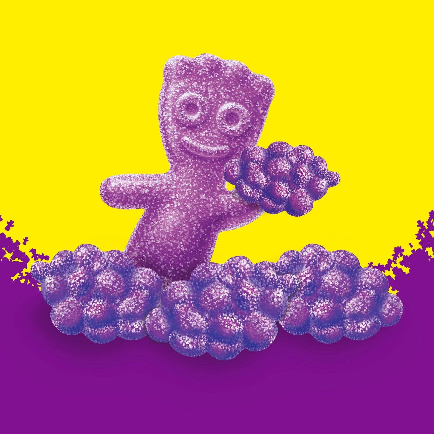 SOUR PATCH KIDS Grape Soft  Chewy Candy 802 oz