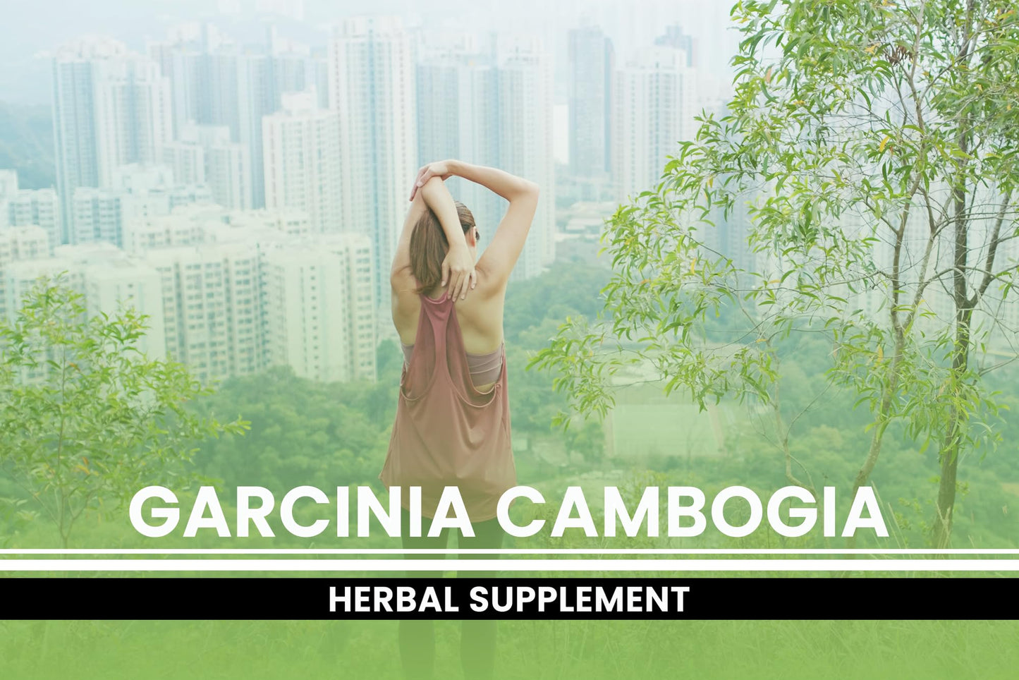 PURE ORIGINAL INGREDIENTS Garcinia Cambogia, No Magnesium or Rice Fillers, Always Pure, Lab Verified (365 Count)