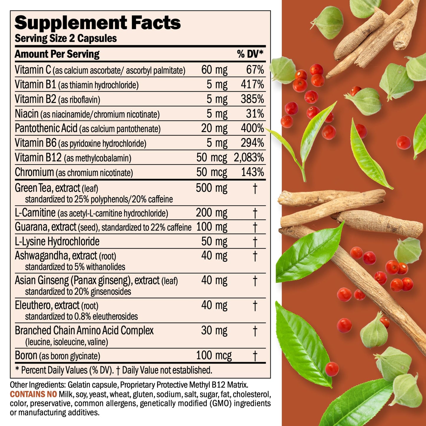 ANDREW LESSMAN Energy and Fat Metabolism Factors 60 Capsules - Promotes Optimum Fat Burning and Energy Metabolism, with Carnitine, Green Tea, Guarana, Ginseng, B-Complex. Easy to Swallow Capsules