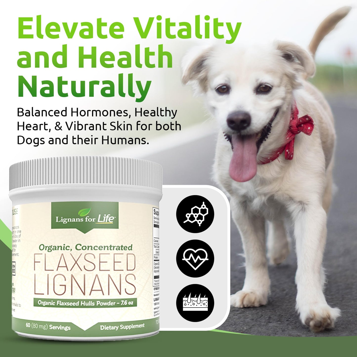 Lignans for Life - Natural Bulk Ground Flaxseed Powder - Omega 3 & 6 Fatty Acids Filled High Fiber Antioxidants - Support Healthy Heart & Hair, Healthy Immune System - 60 Servings 80mg per tab, 1 Pack